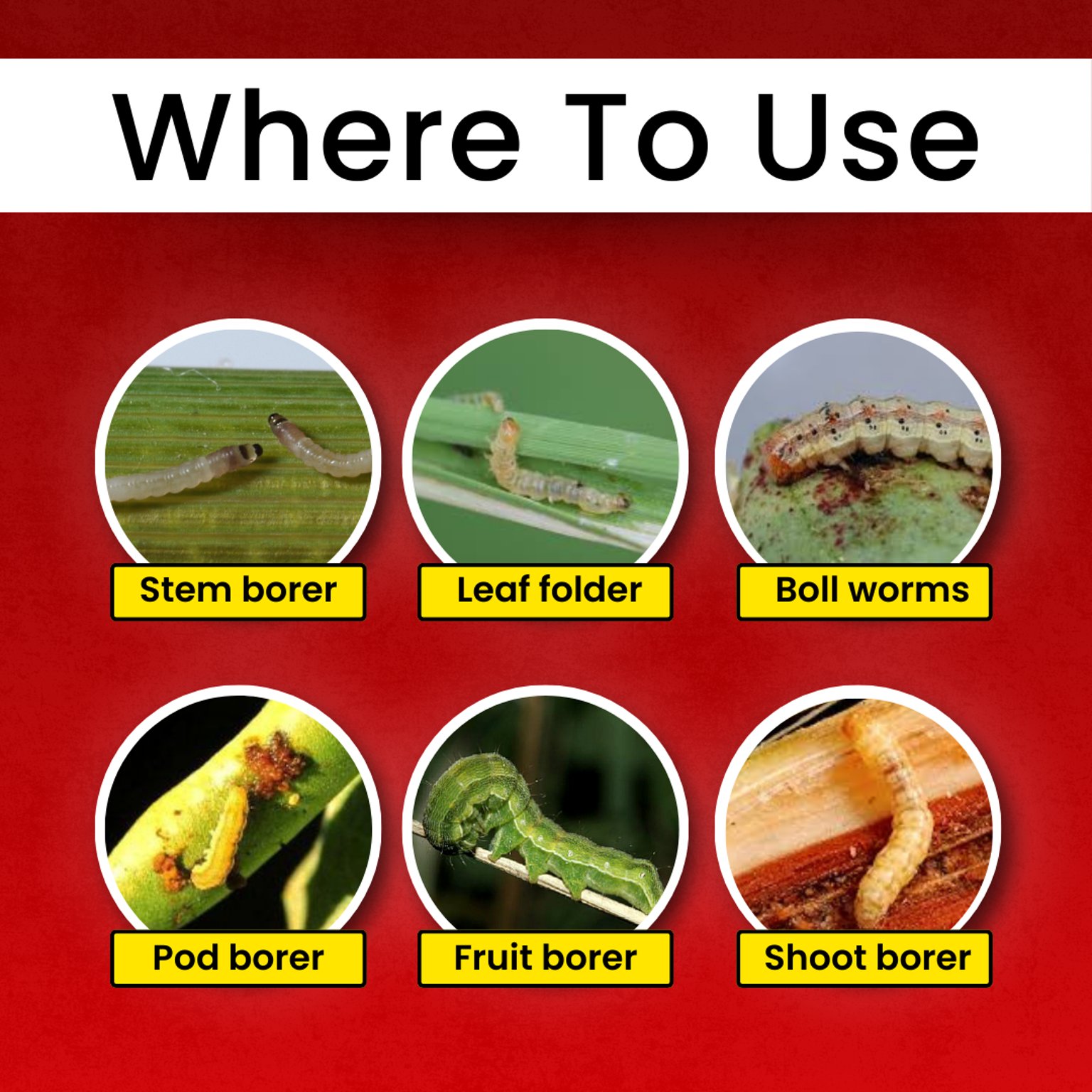 Katyayani Chakraveer | Chlorantraniliprole 18.5% SC | Chemical Insecticide