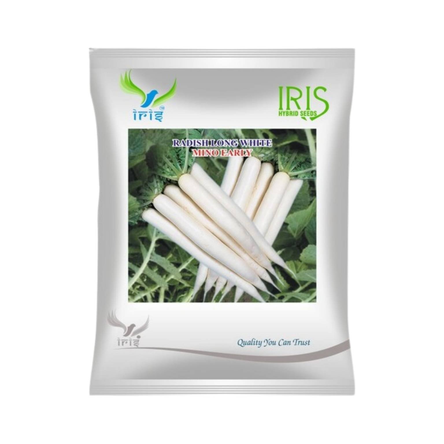 Iris Hybrid Radish Mino Early White IHS 55 Vegetable Seeds