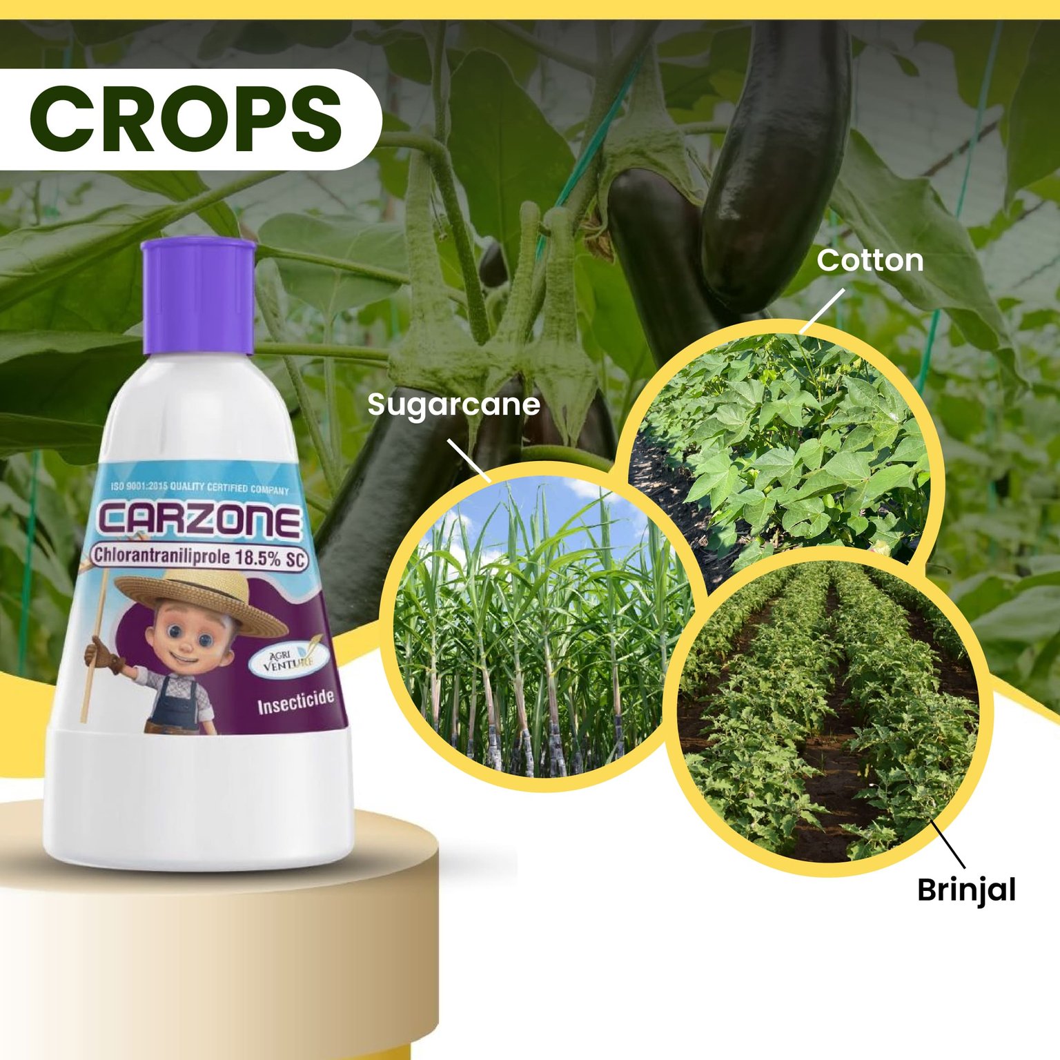 Agri Venture Carzone Chlorantraniliprole 18.5% SC Chemical Insecticide