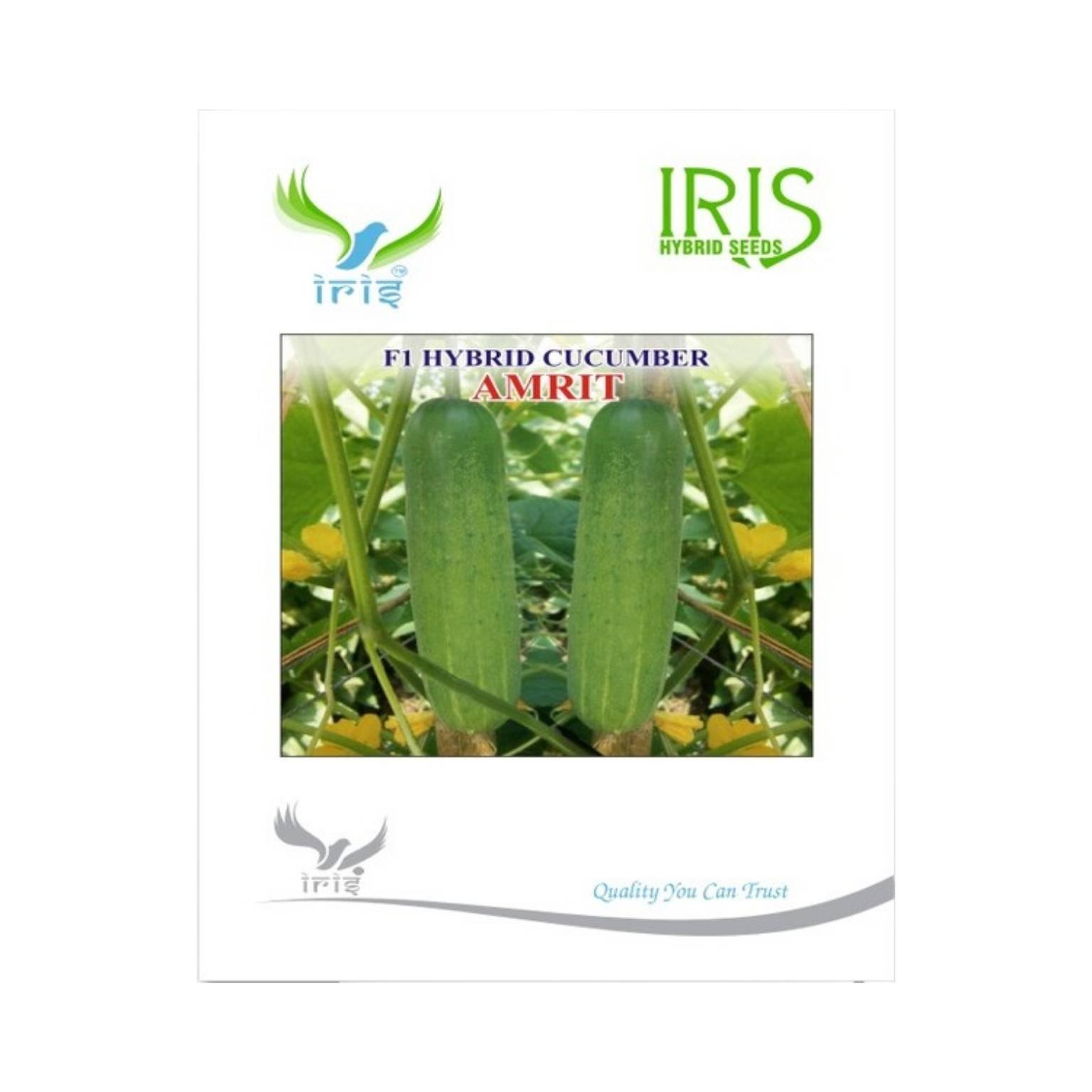 Iris Hybrid Cucumber Amrit Vegetable Seeds