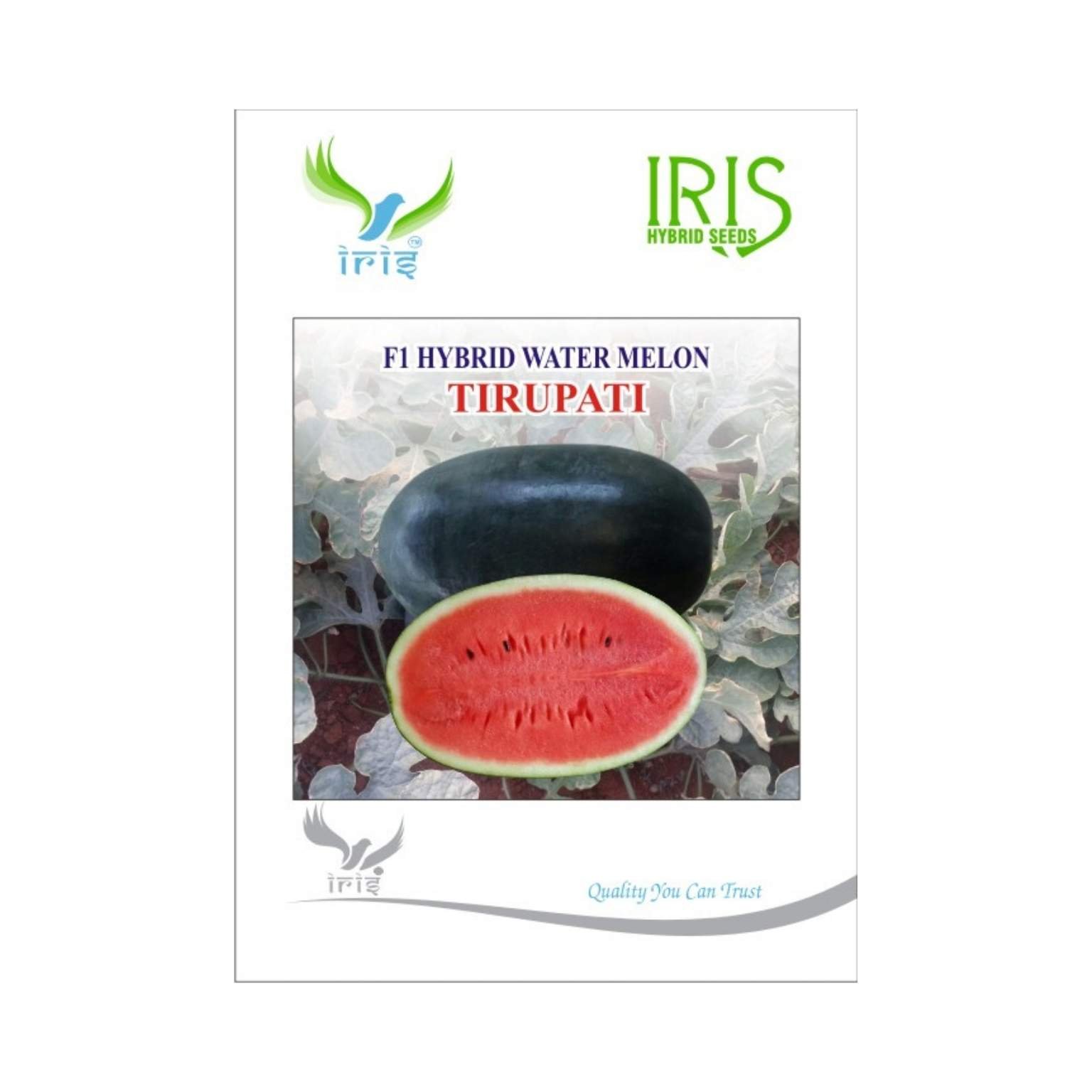 Iris Hybrid Watermelon Tirupati Fruit Seeds