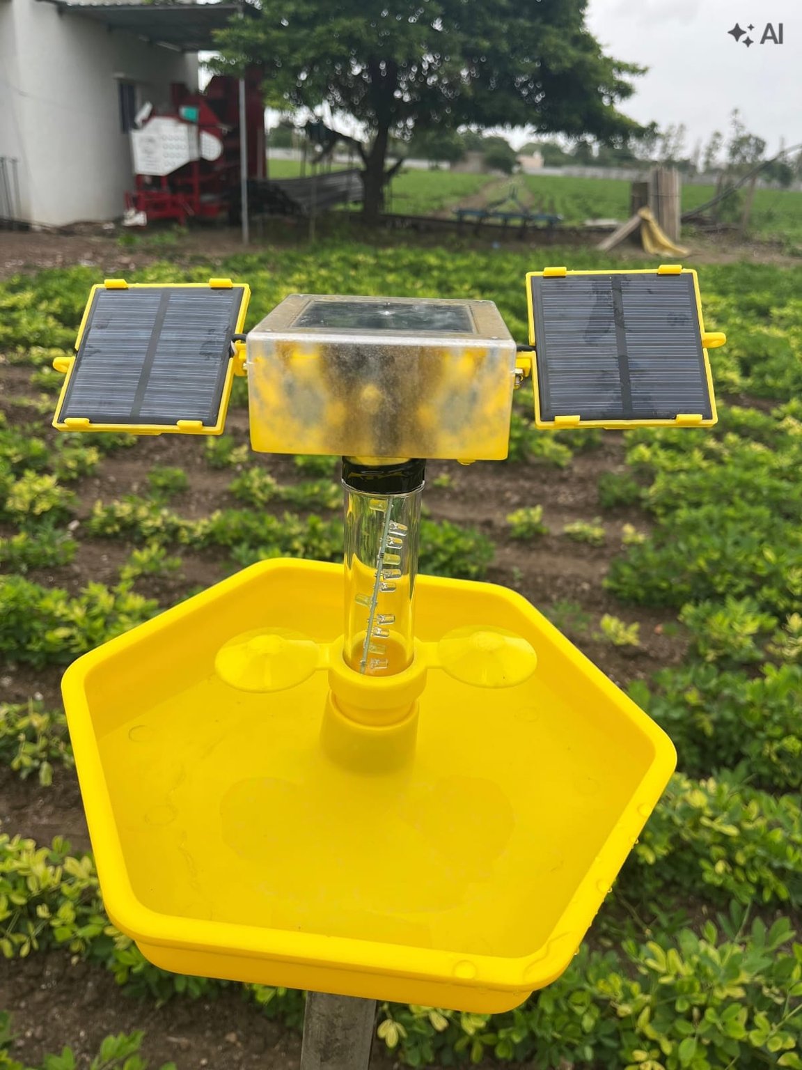 Mini solar light trep primume qulity