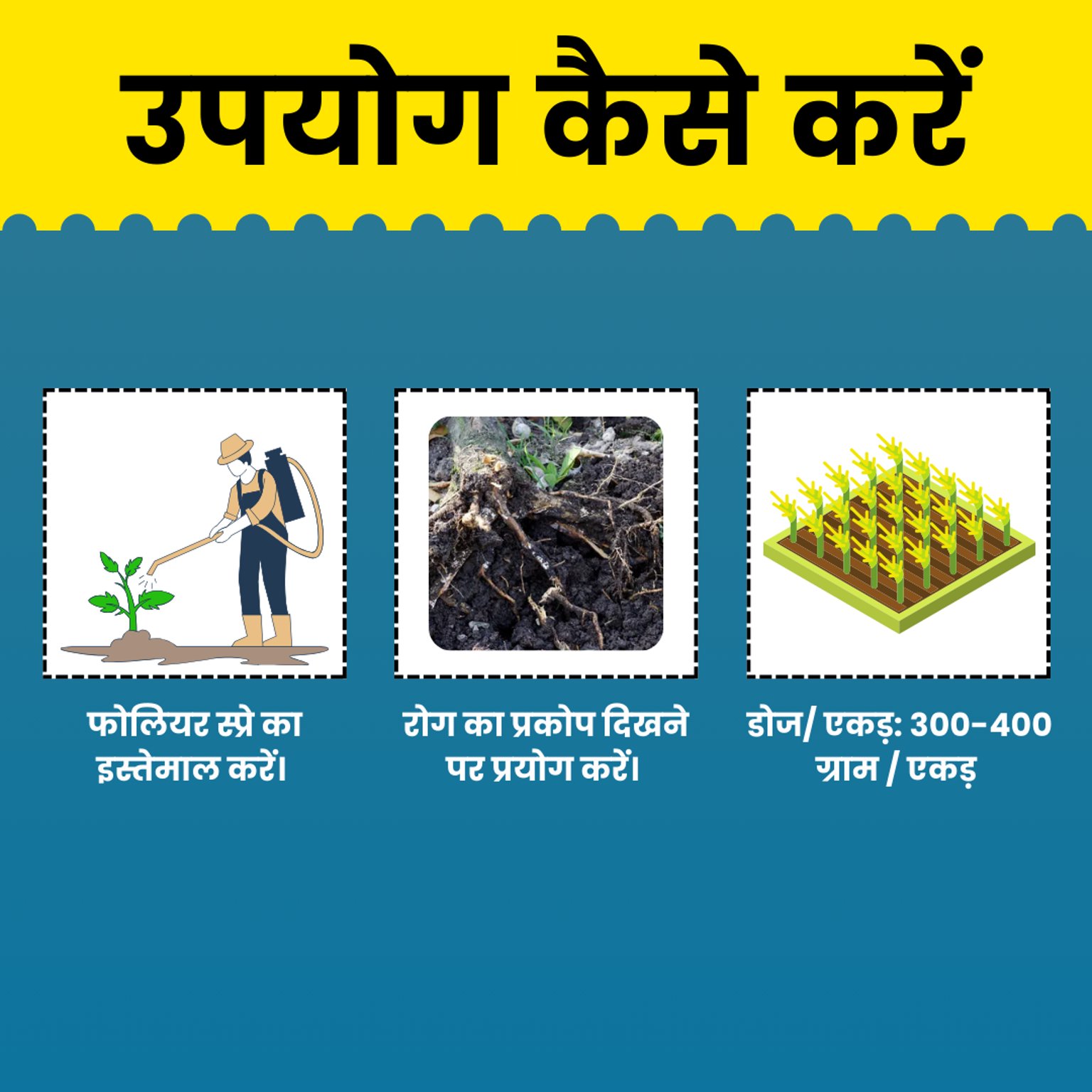 KATYAYANI SAMARTHA | CARBENDAZIM 12% + MANCOZEB 63% WP | CHEMICAL FUNGICIDE