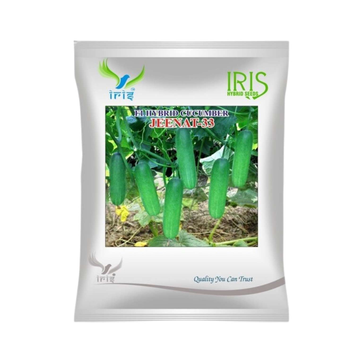 Iris Hybrid Cucumber Jeenat 33 Vegetable Seeds