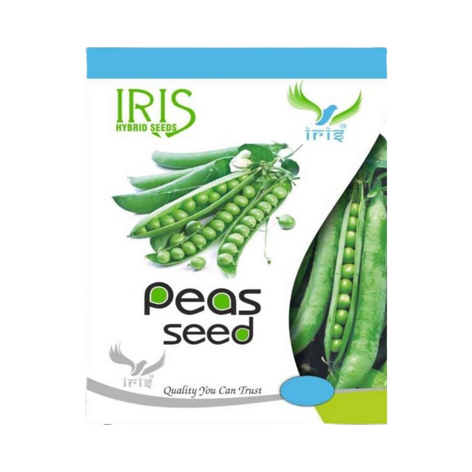Iris Hybrid Peas IR 10 Green Peas Vegetable Seeds