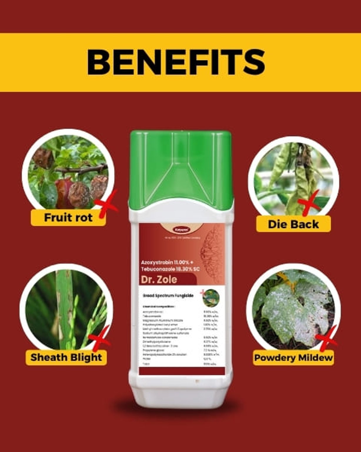 Katyayani Dr. Zole Azoxystrobin 11% + Tebuconazole 18.3% SC