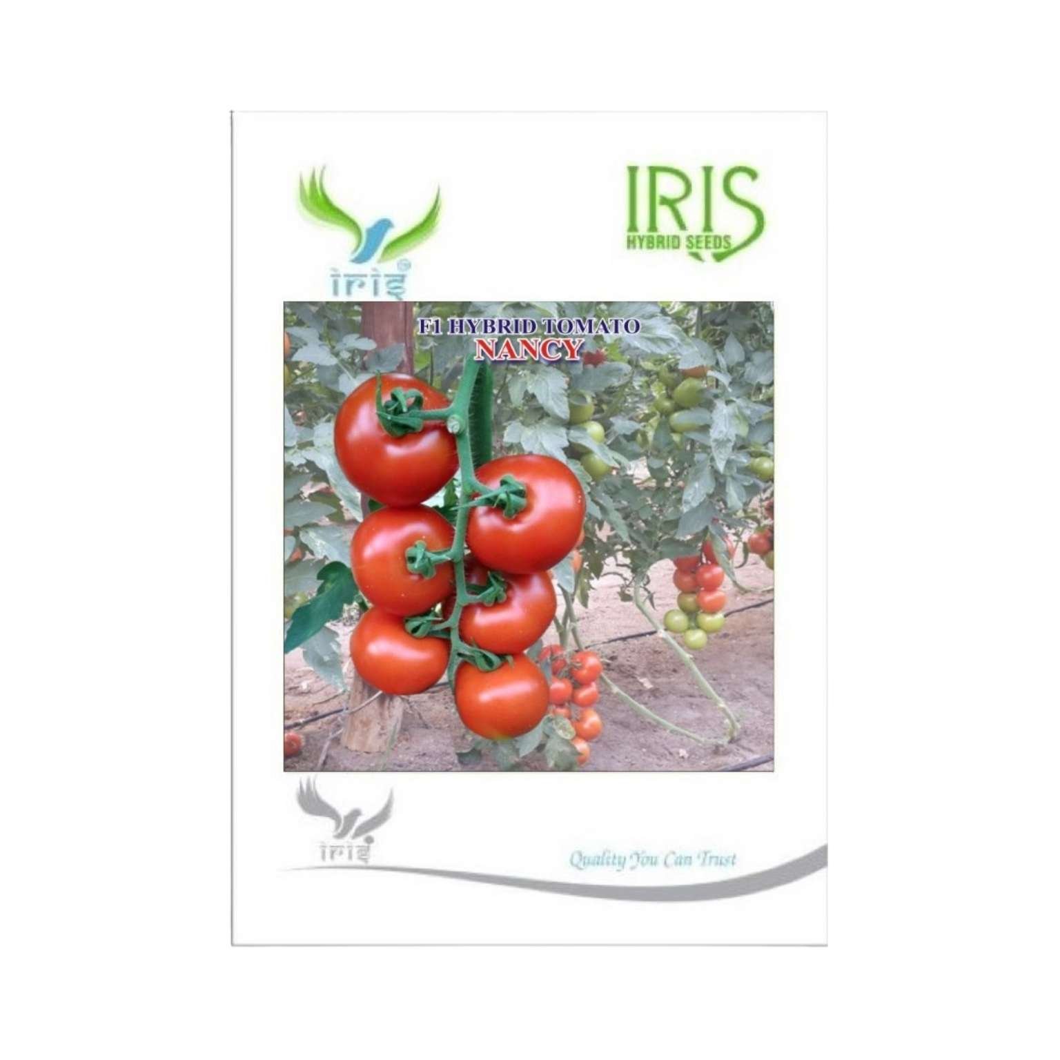 Iris Hybrid Tomato Nancy Vegetable Seeds 