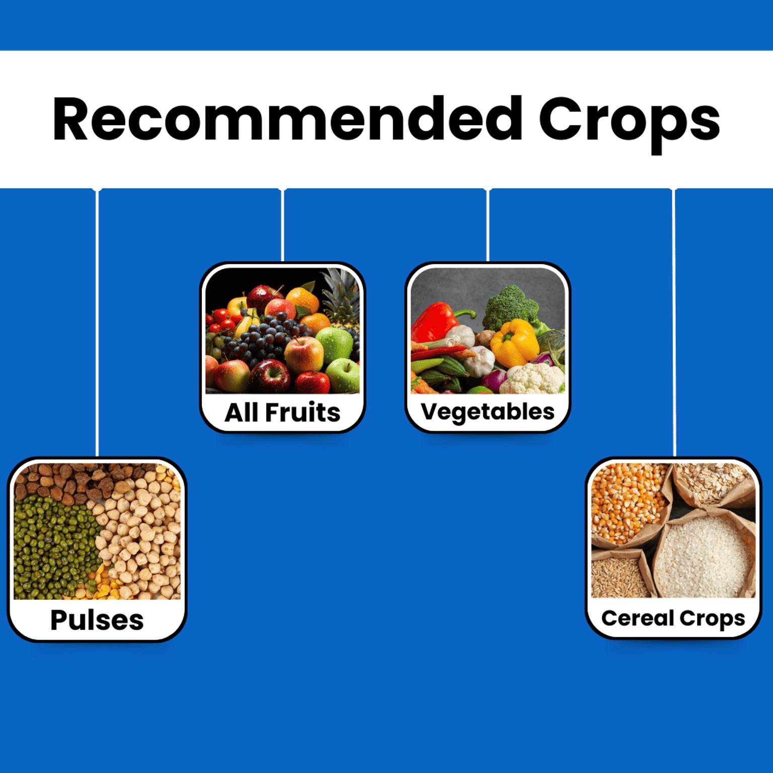 Katyayani Finish-it-all-in-one-larvicide  Organic Insecticide