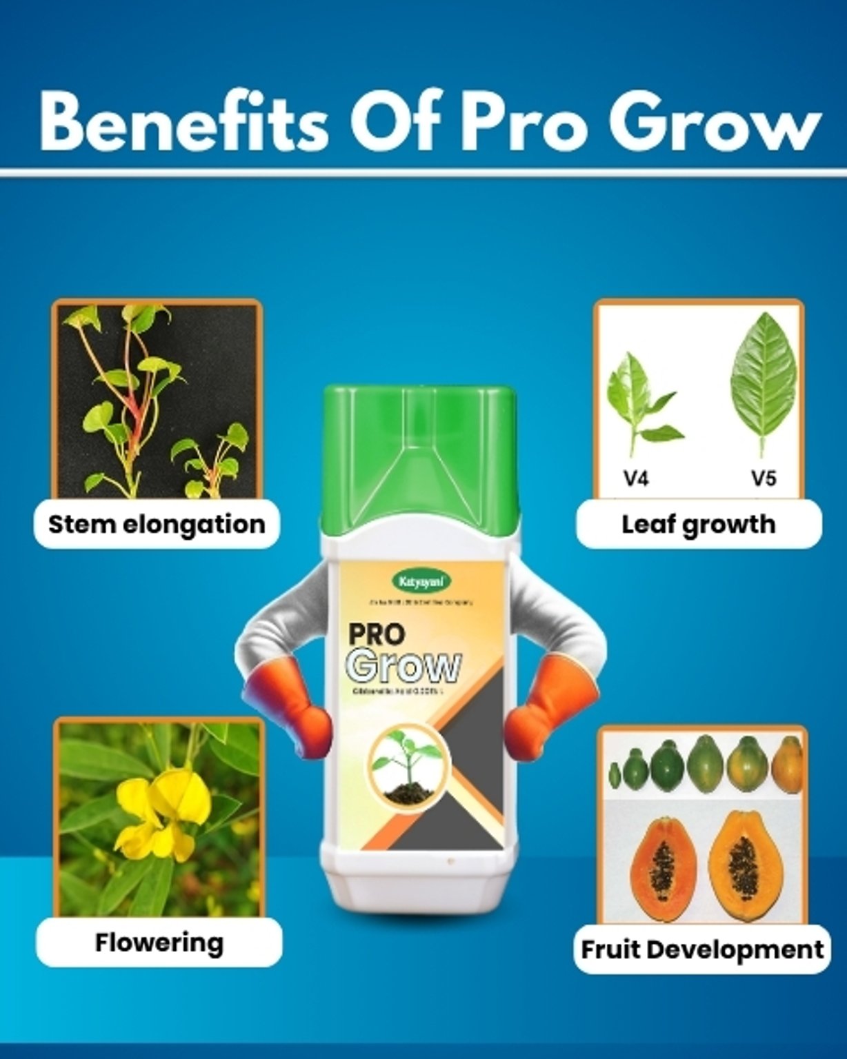 Pro Grow (Gibberellic Acid 0.001% L) Plant Growth Regulator | Bharat Agrolink
