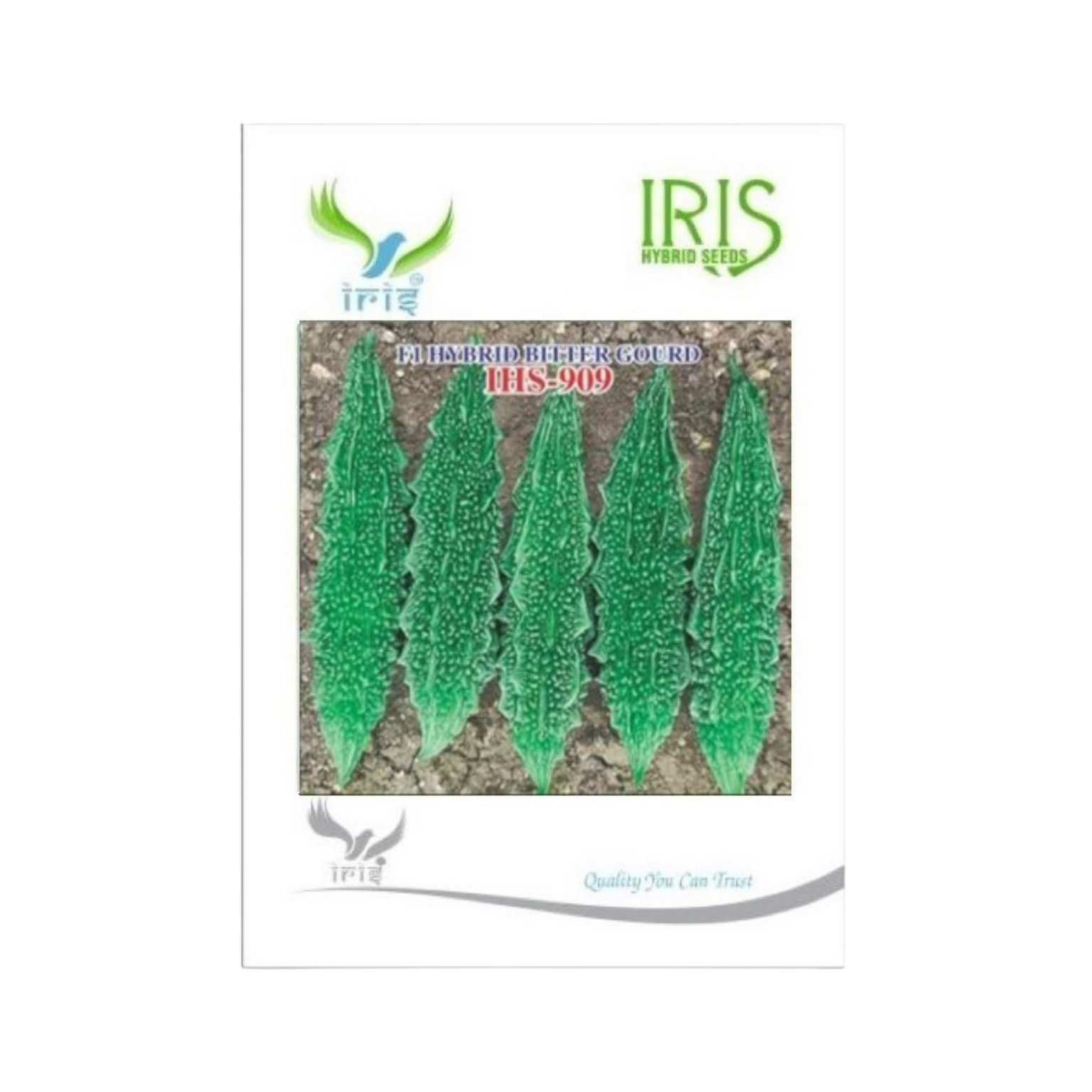 Iris Hybrid Bitter Gourd IHS 909 Vegetable Seeds