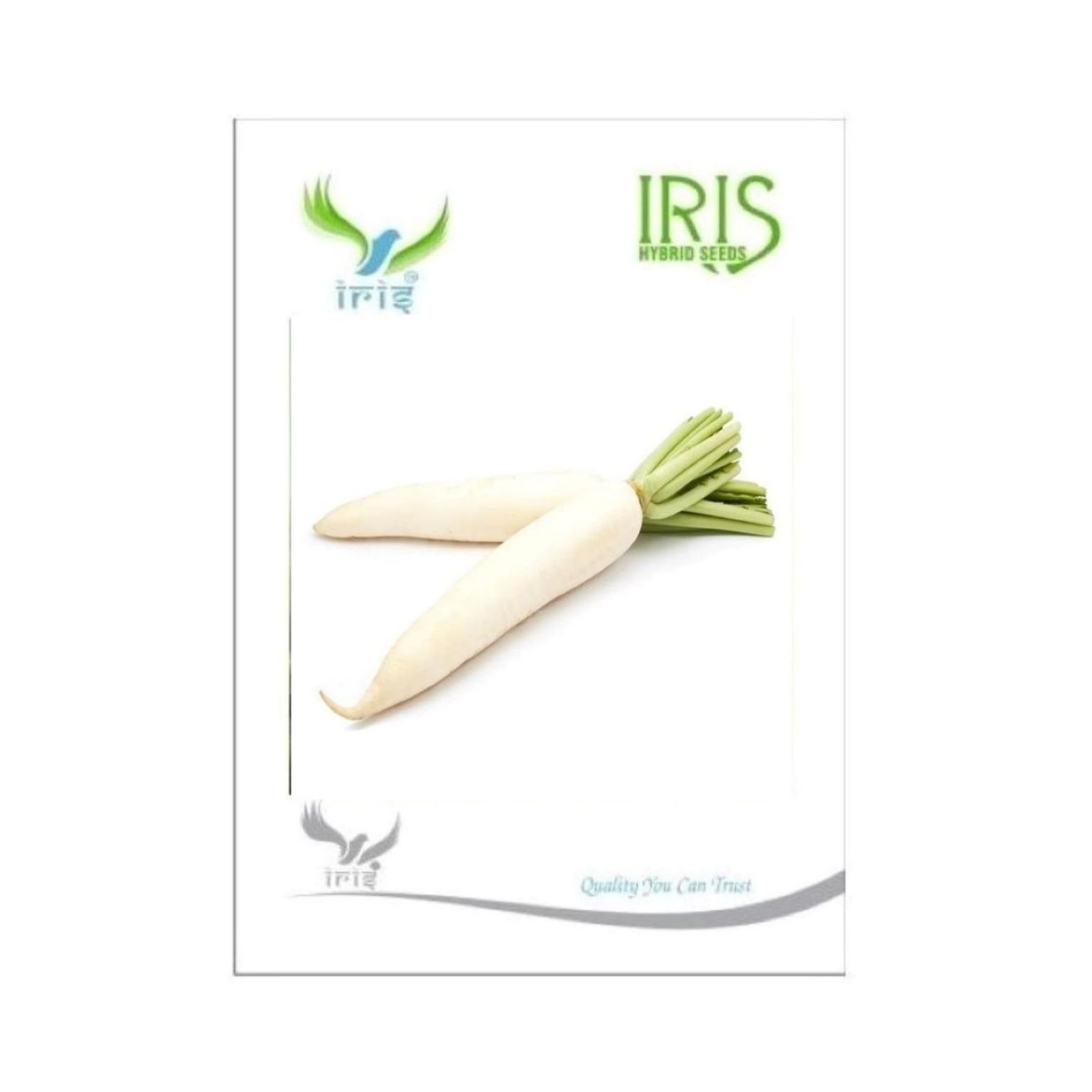 Iris Hybrid Radish Vegetable Seeds