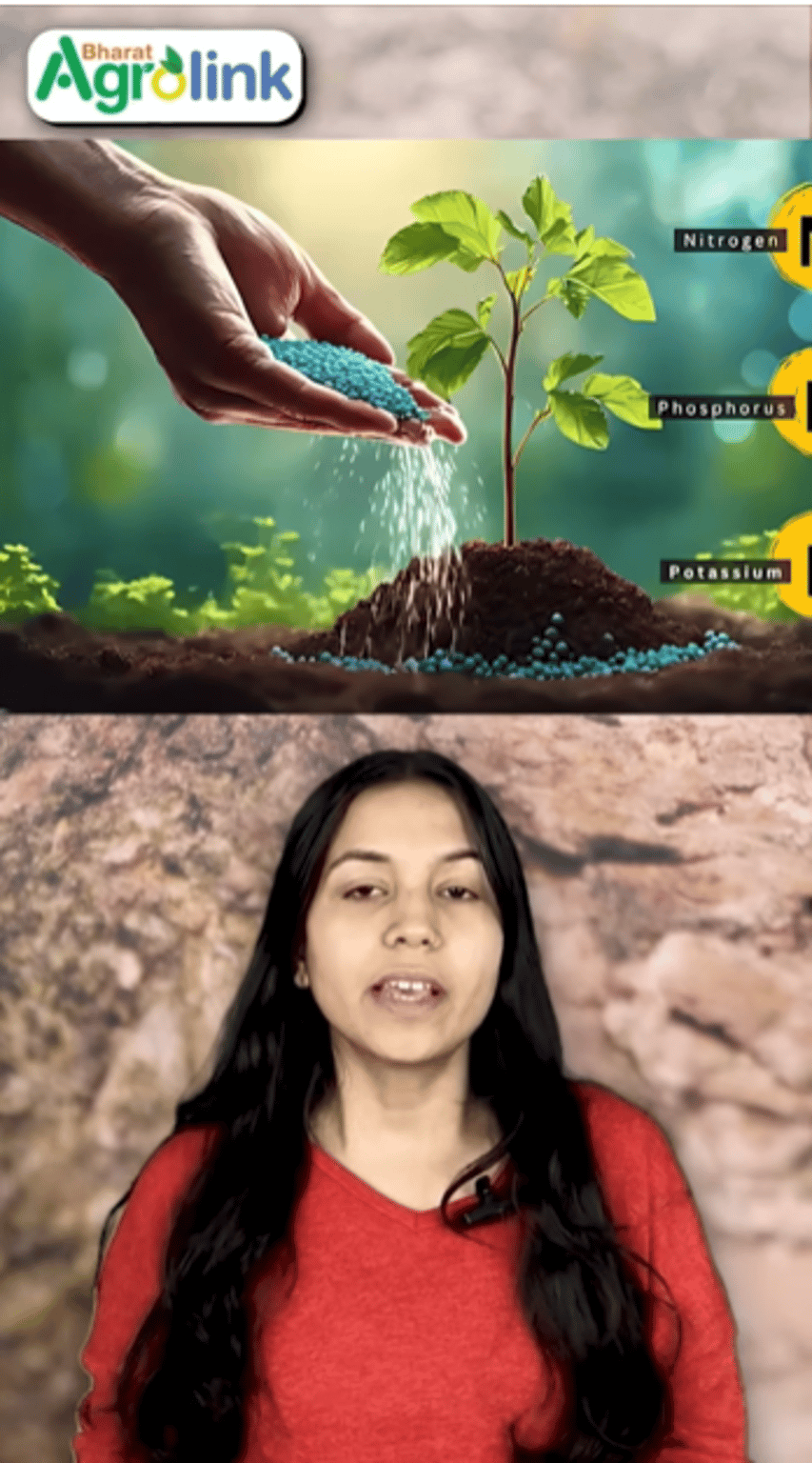 मिट्टी की कमजोरी को कहो अलविदा!