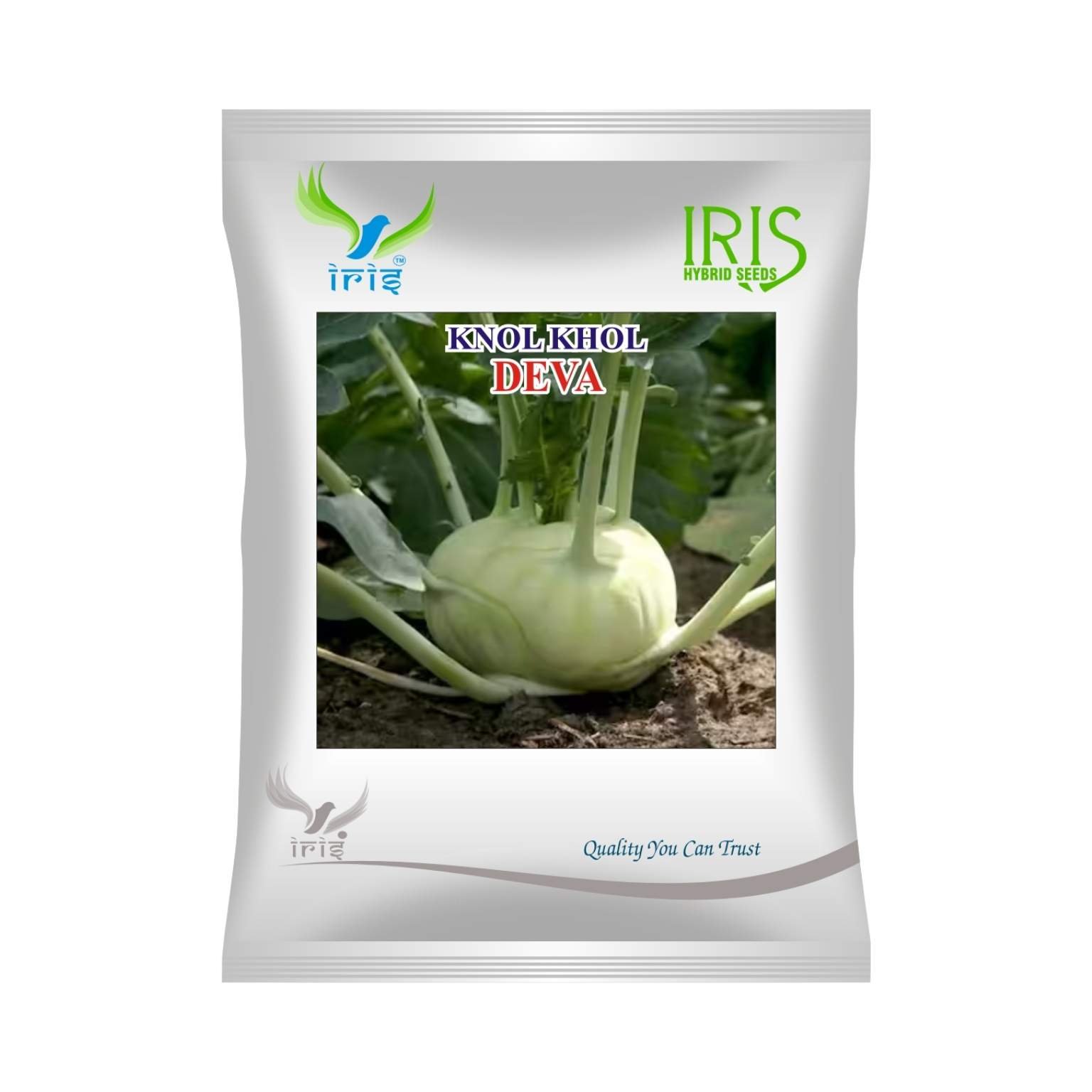 Iris Hybrid Knol Khol Deva Vegetable Seeds