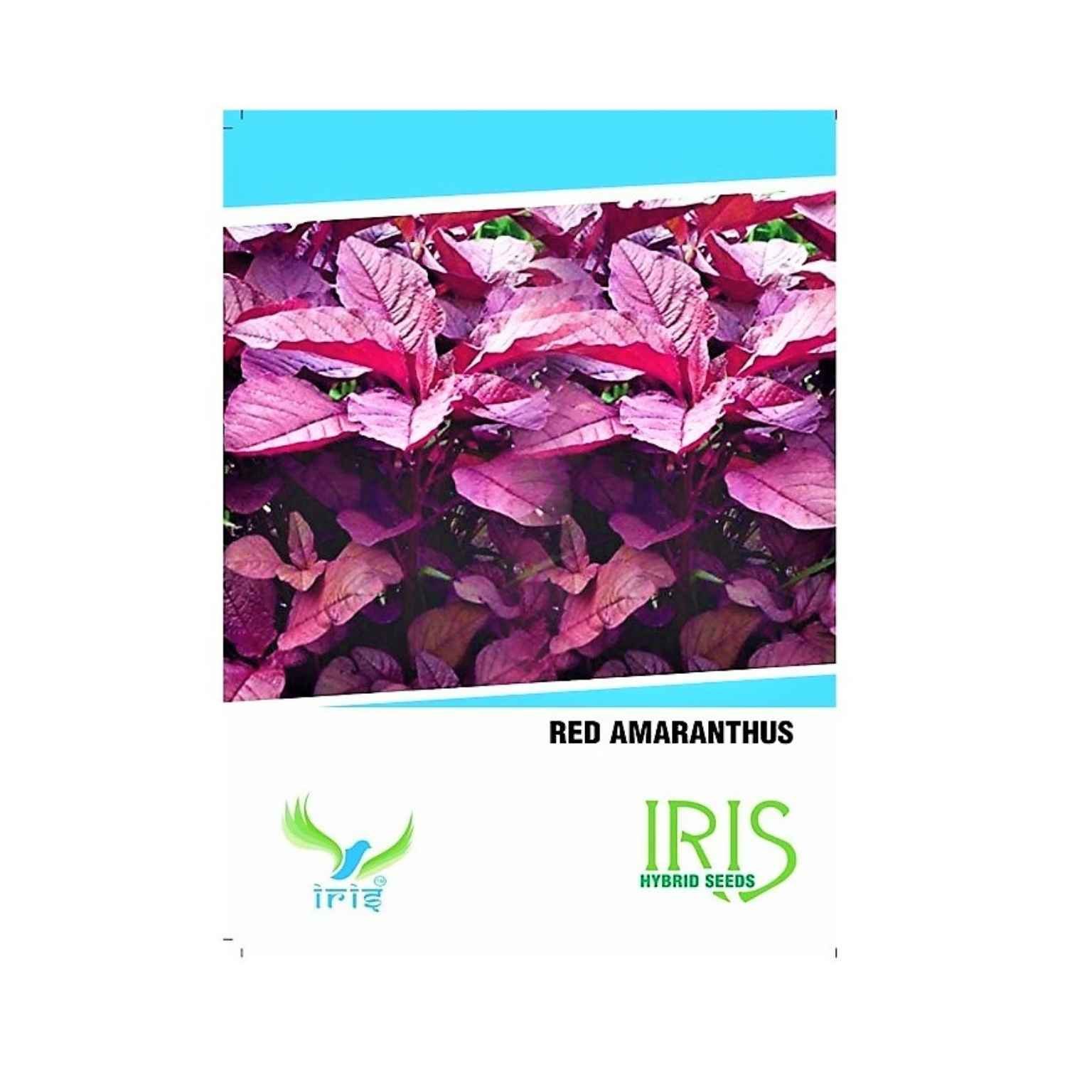 Iris Hybrid Amaranthus Red Vegetable Seeds