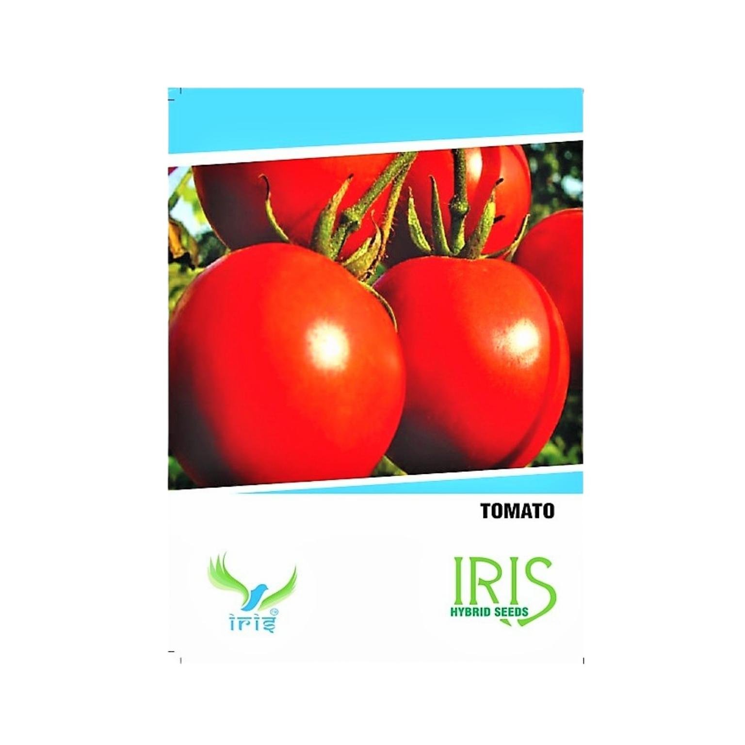 Iris Hybrid Tomato Vegetable Seeds