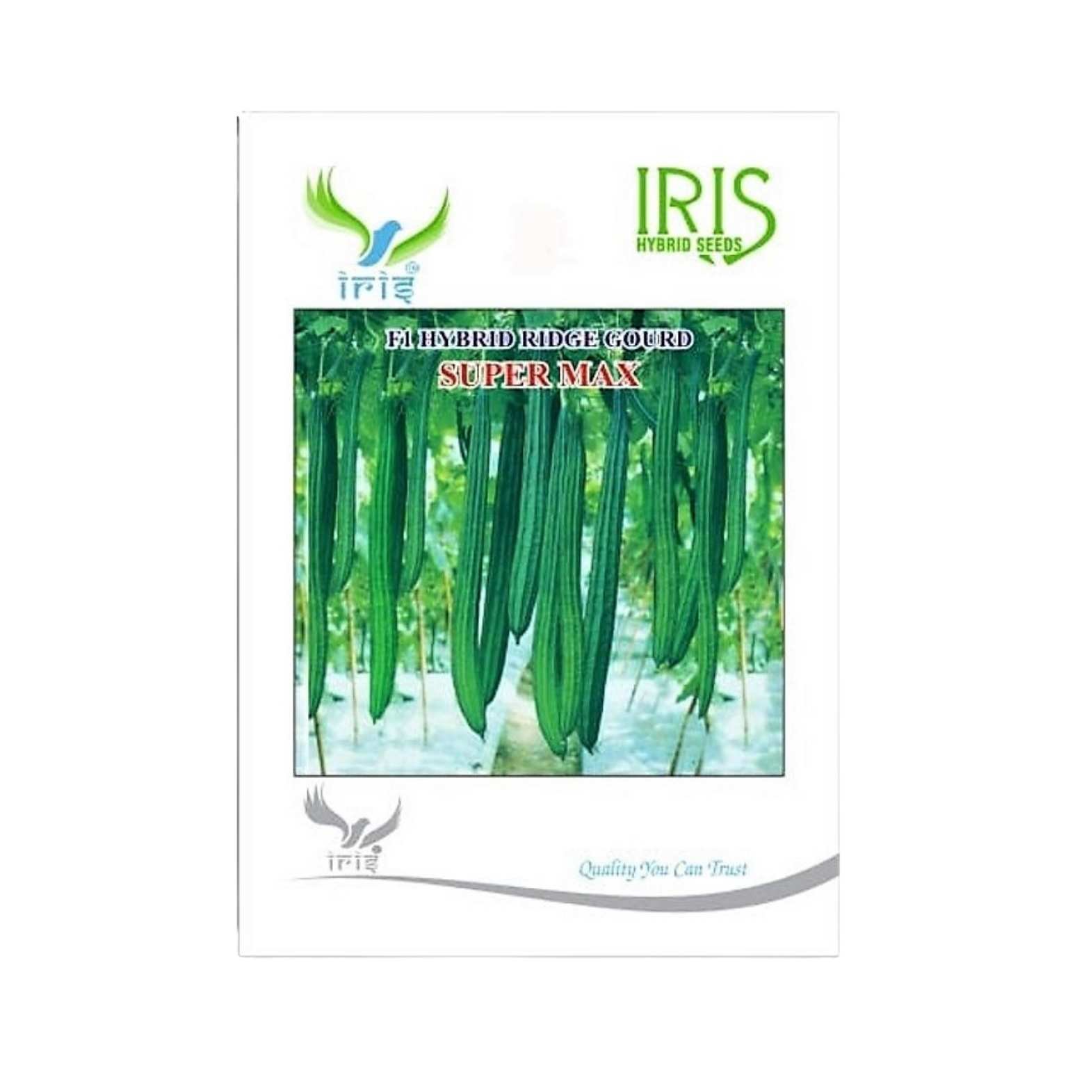 Iris Hybrid Ridge Gourd Super Max Vegetable Seeds