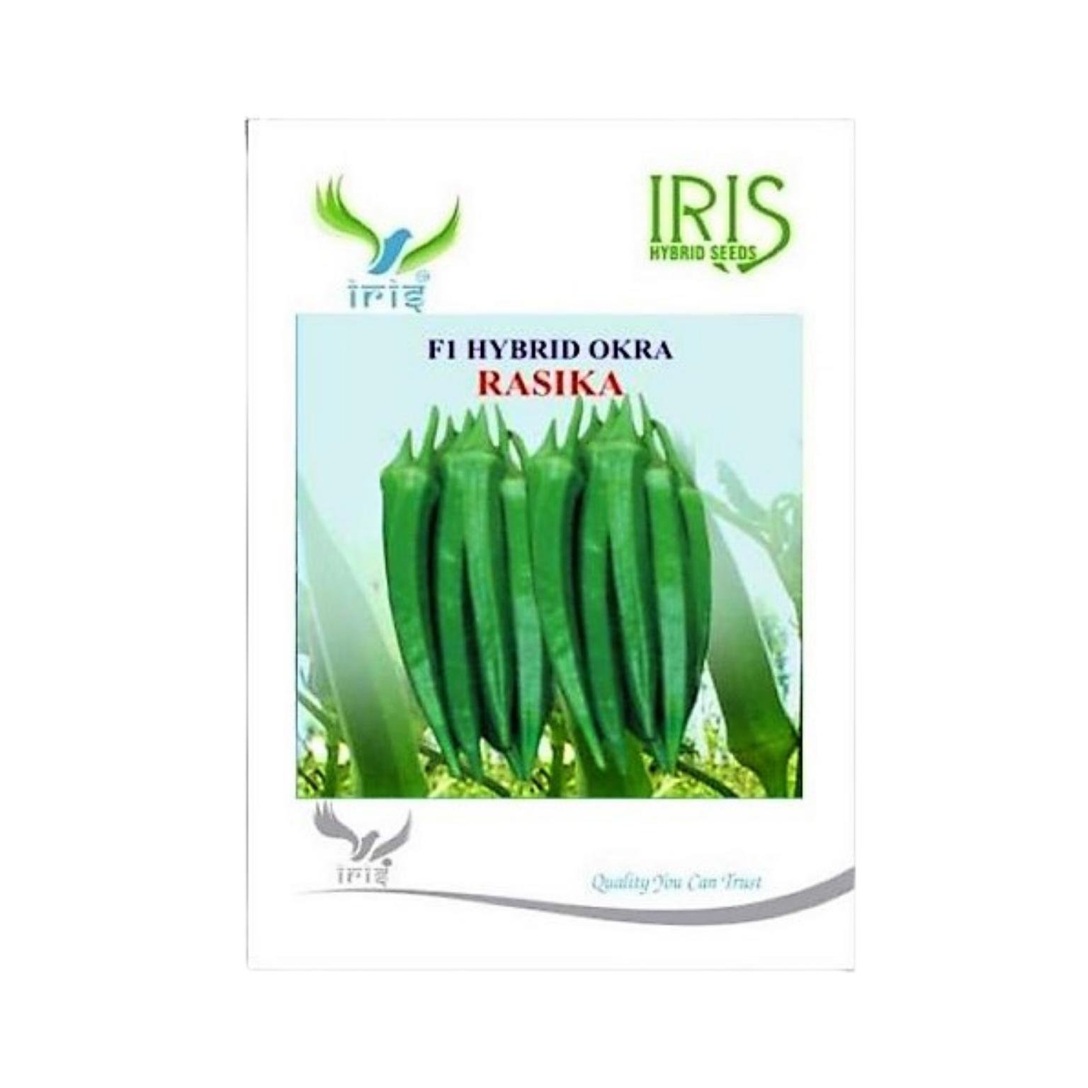 Iris Hybrid Okra (Bhindi) Rasika Vegetable Seeds