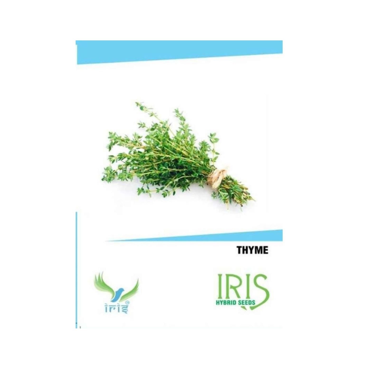 Iris Hybrid Thyme Vegetable Seeds