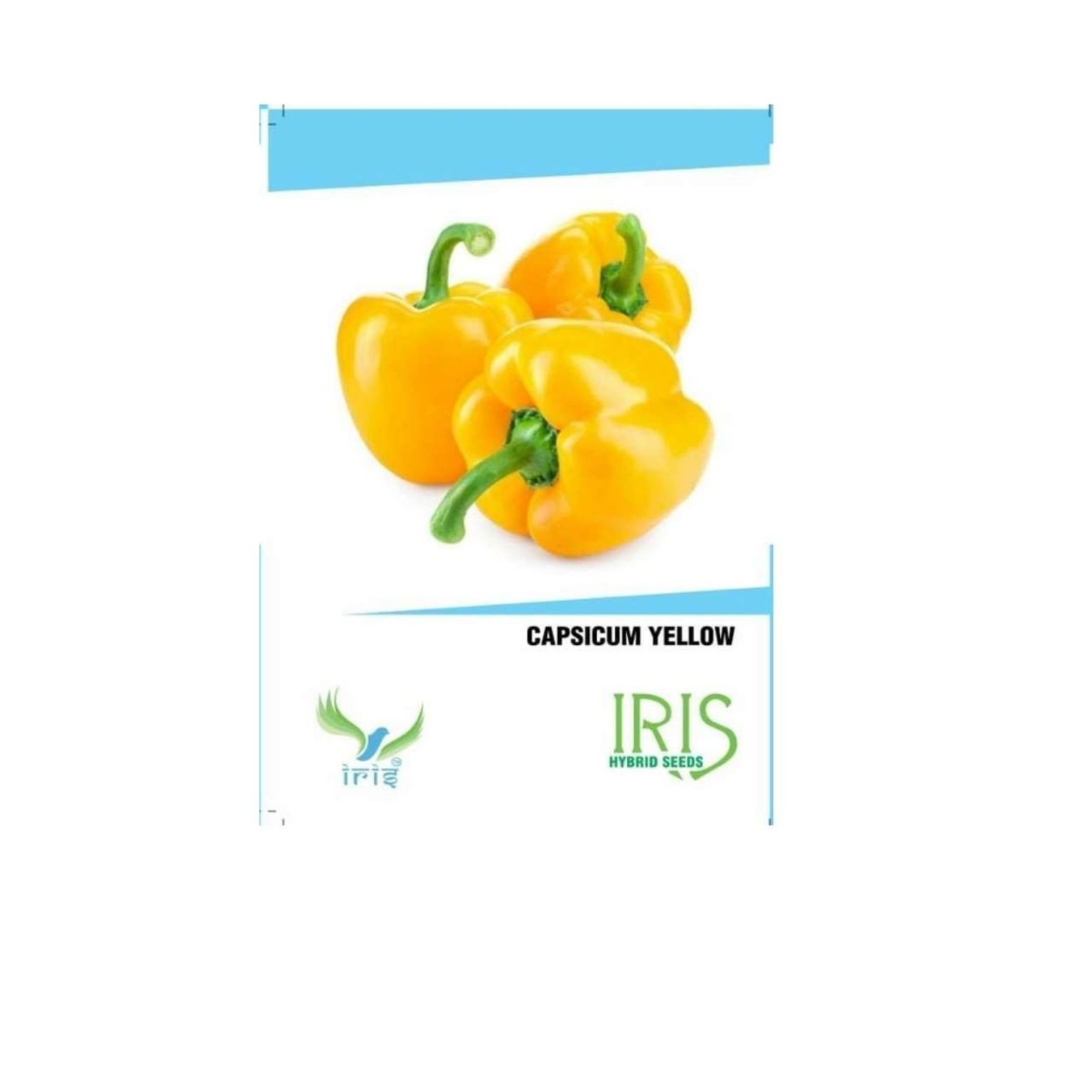 Iris Hybrid Capsicum Yellow Vegetable Seeds