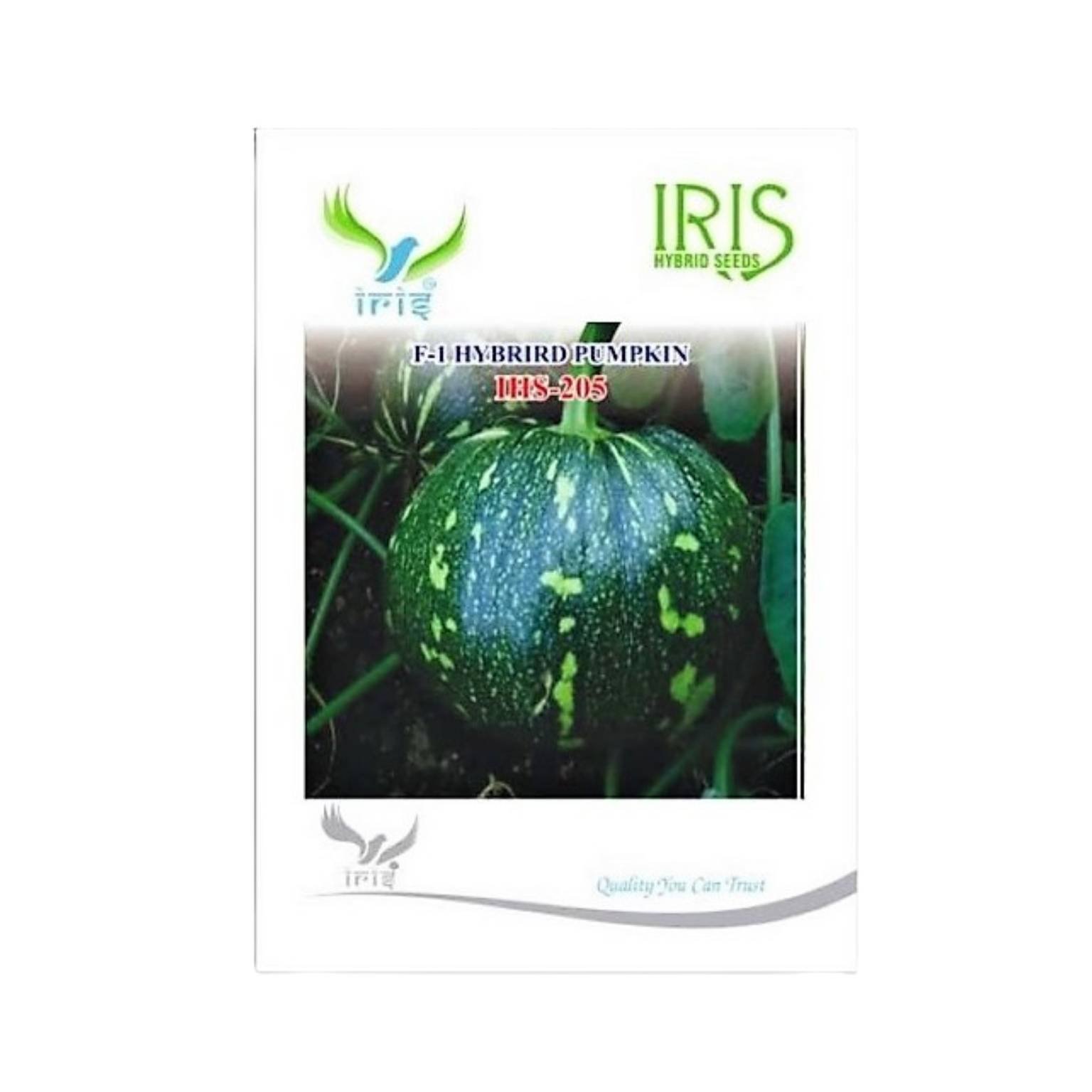 Iris Hybrid Pumpkin IHS 205 Vegetable Seeds