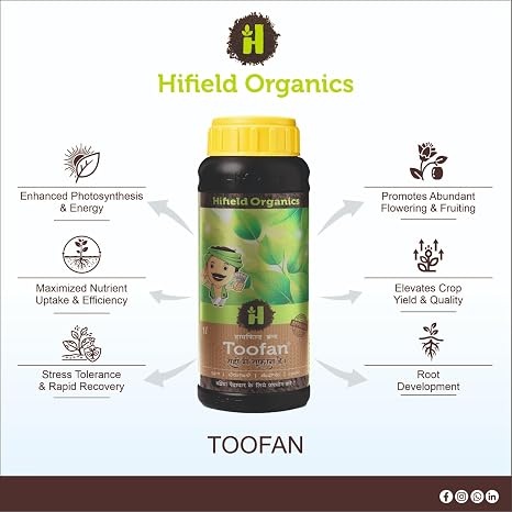 Toofan