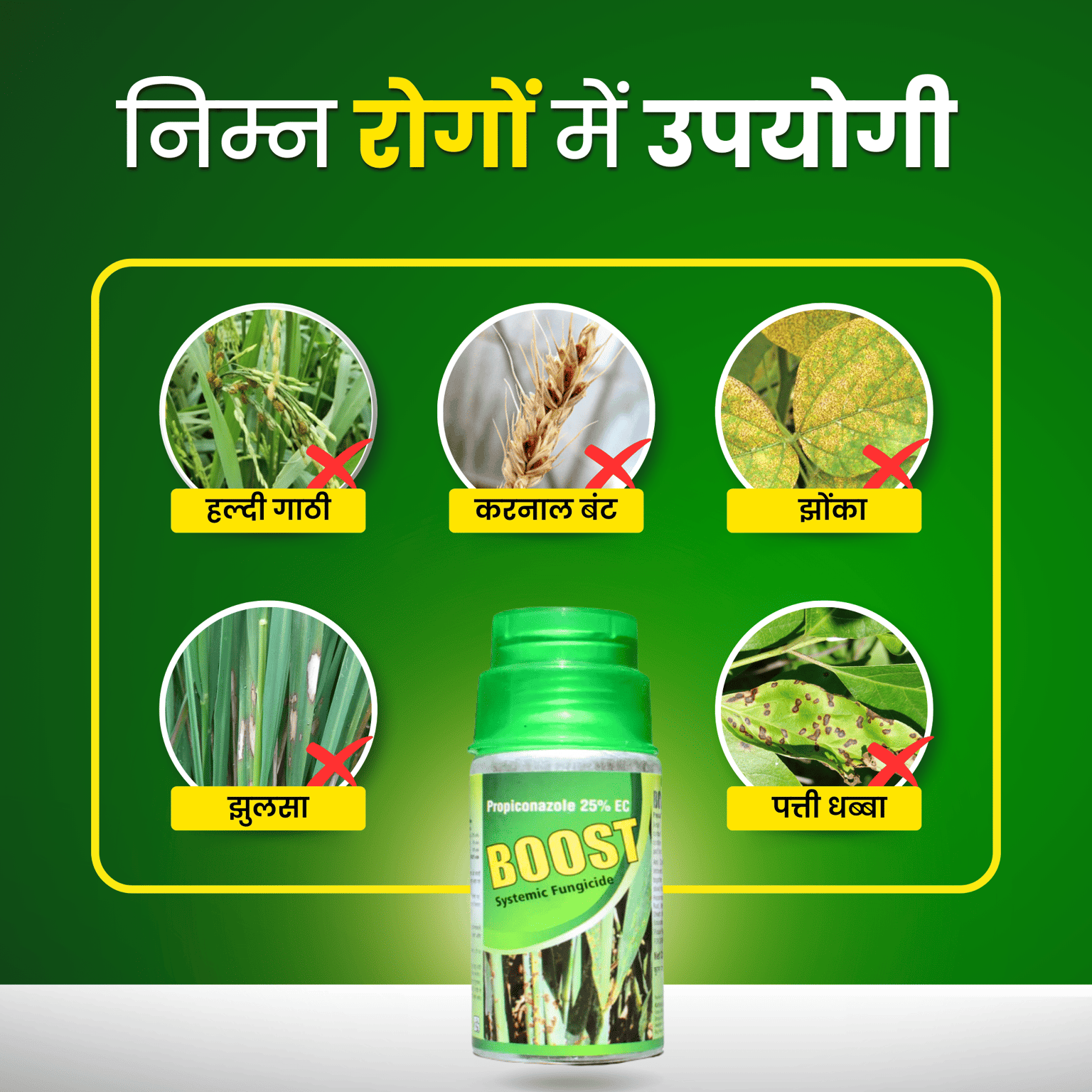 Katyayani Boost | Propiconazole 25% EC | Chemical Fungicide