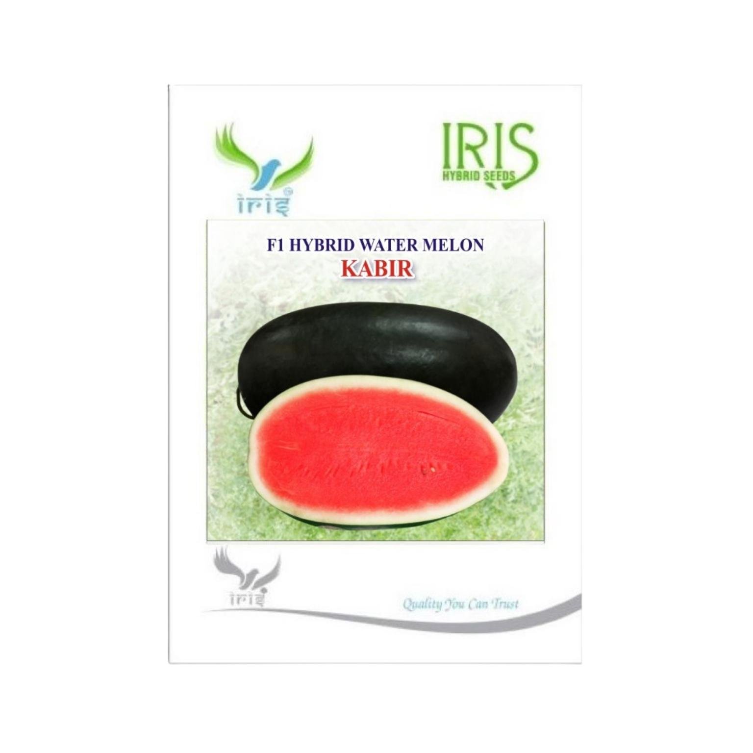 Iris Hybrid Watermelon Kabir Fruit Seeds