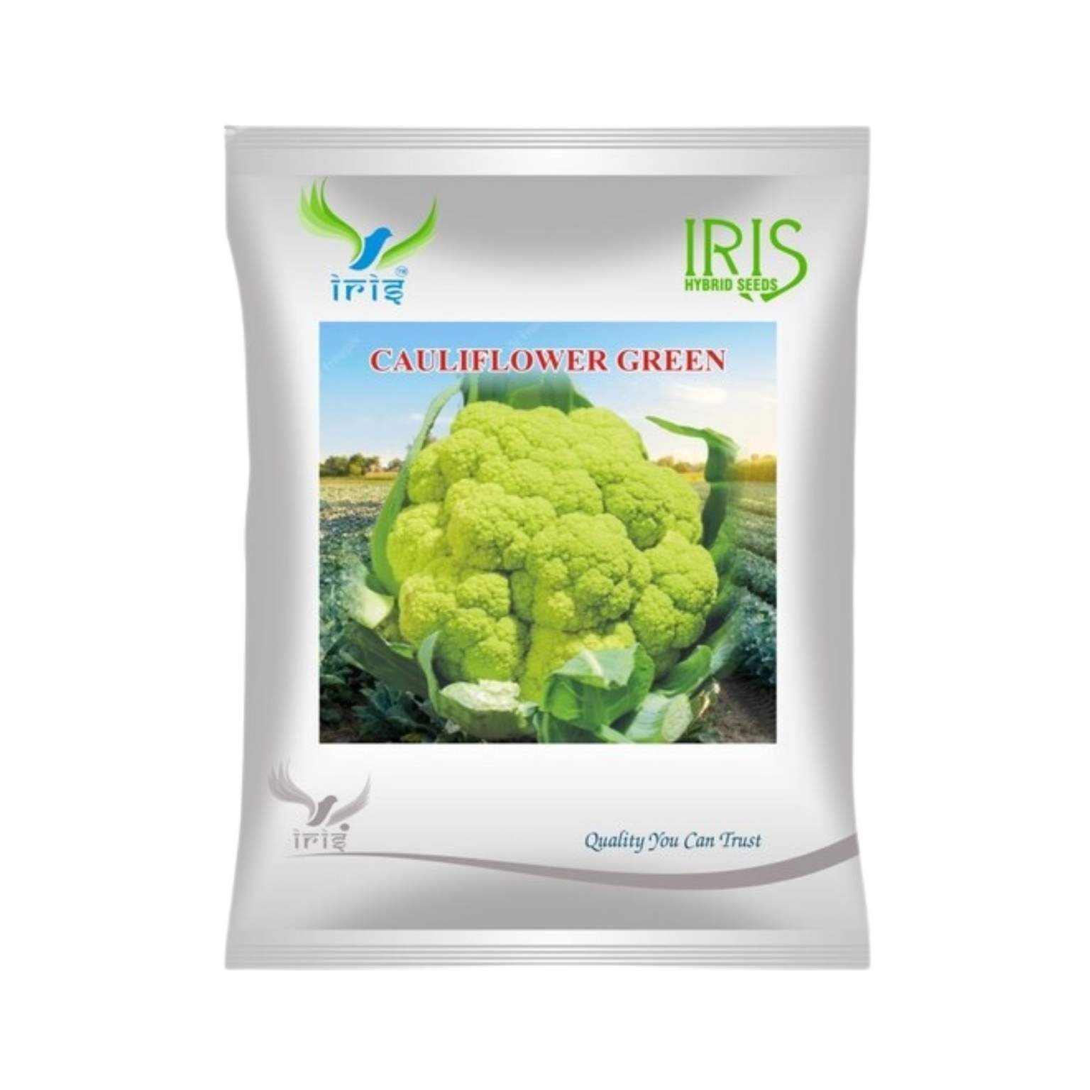 Iris Hybrid Cauliflower Green Vegetable Seeds