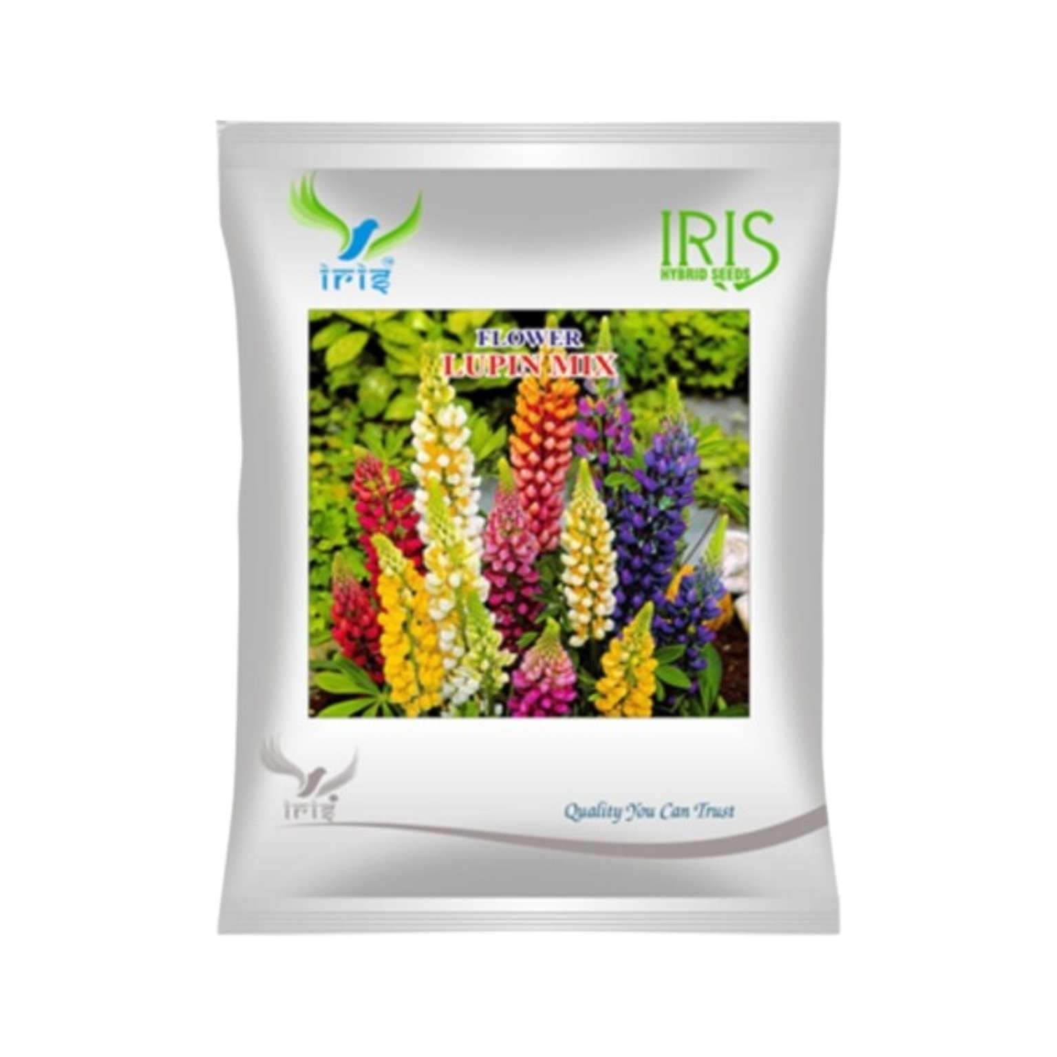 Iris Hybrid Lupin Mix Flower Seeds (300 Seeds)
