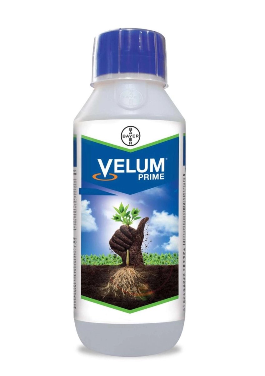 Bayer Velum Prime Fluopyram 34.48% SC