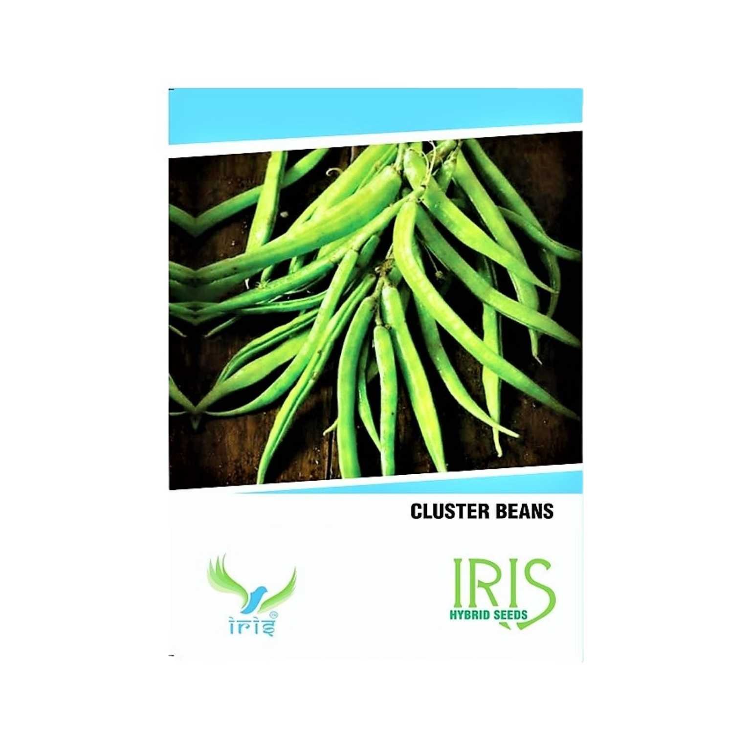 Iris Hybrid Cluster Beans Vegetable Seeds