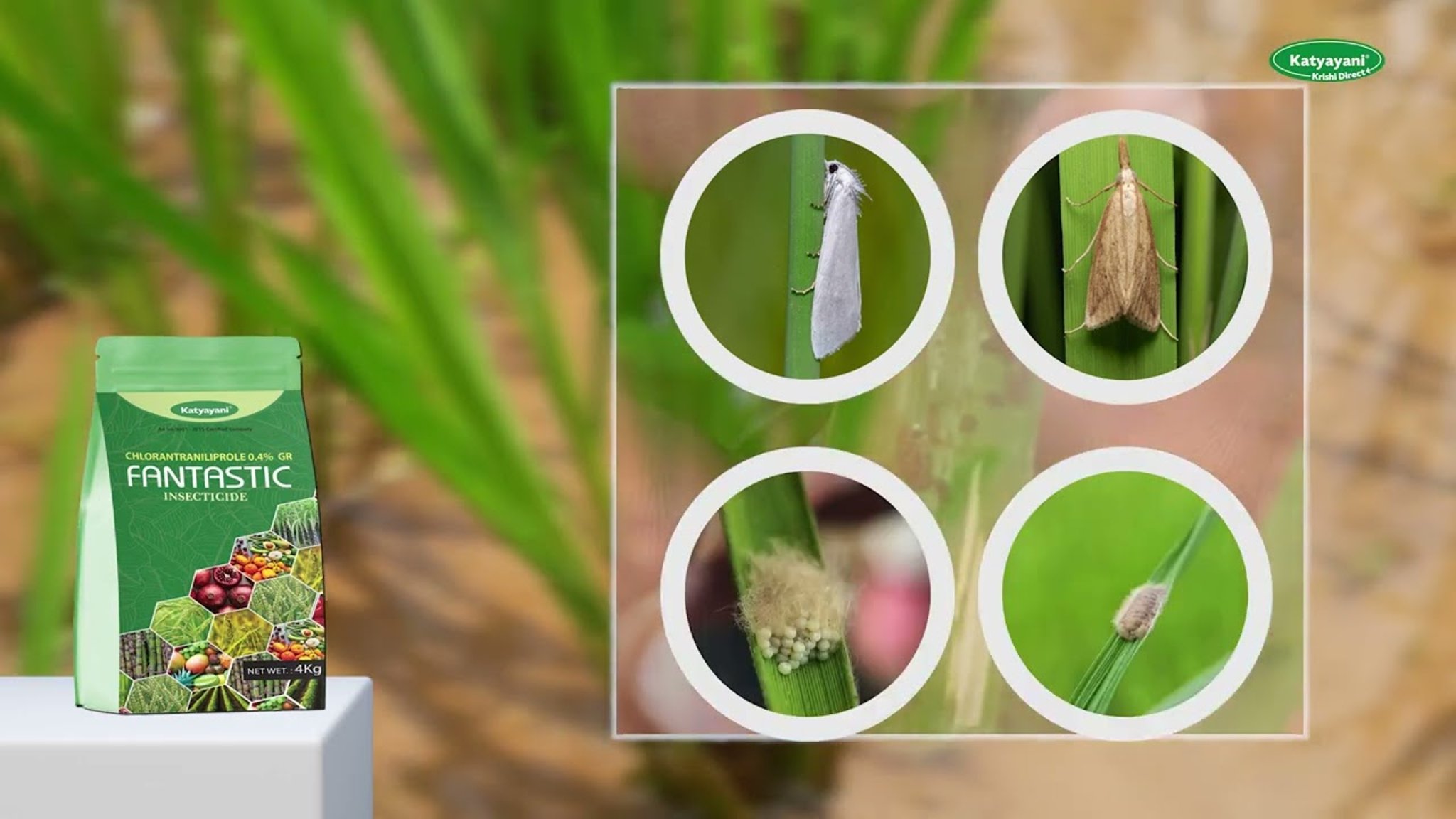 Katyayani Fantastic | Chlorantraniliprole 0.4% GR | Chemical Insecticide