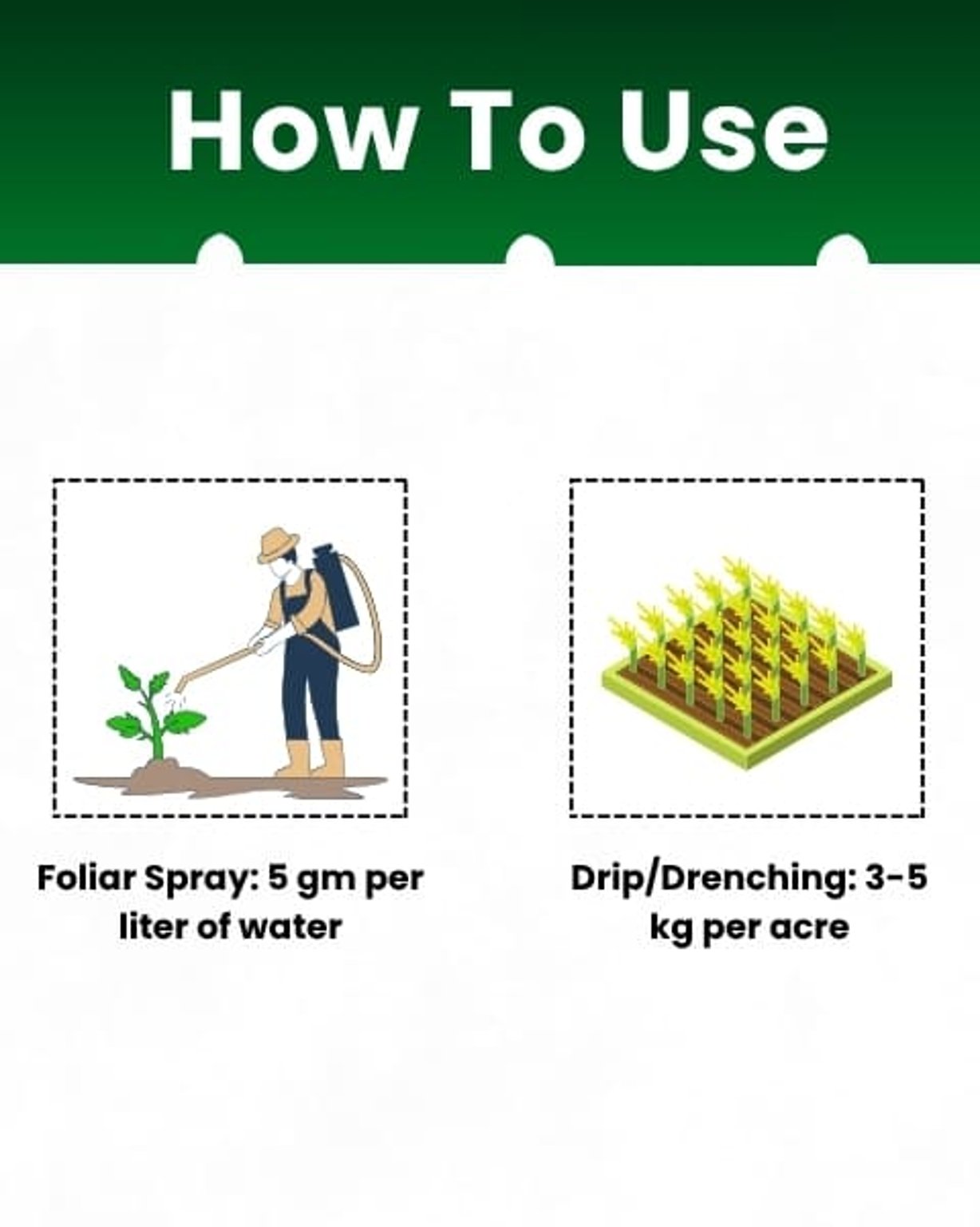 Katyayani Organics NPK 00:52:34 Fertilizer