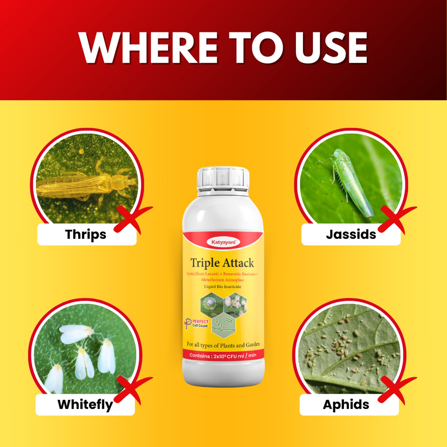 KATYAYANI TRIPLE ATTACK | VERTICILLIUM LECANII + BEAUVERIA BASSIANA + METARHIZIUM ANISOPLIAE | BIO PESTICIDE Liquid