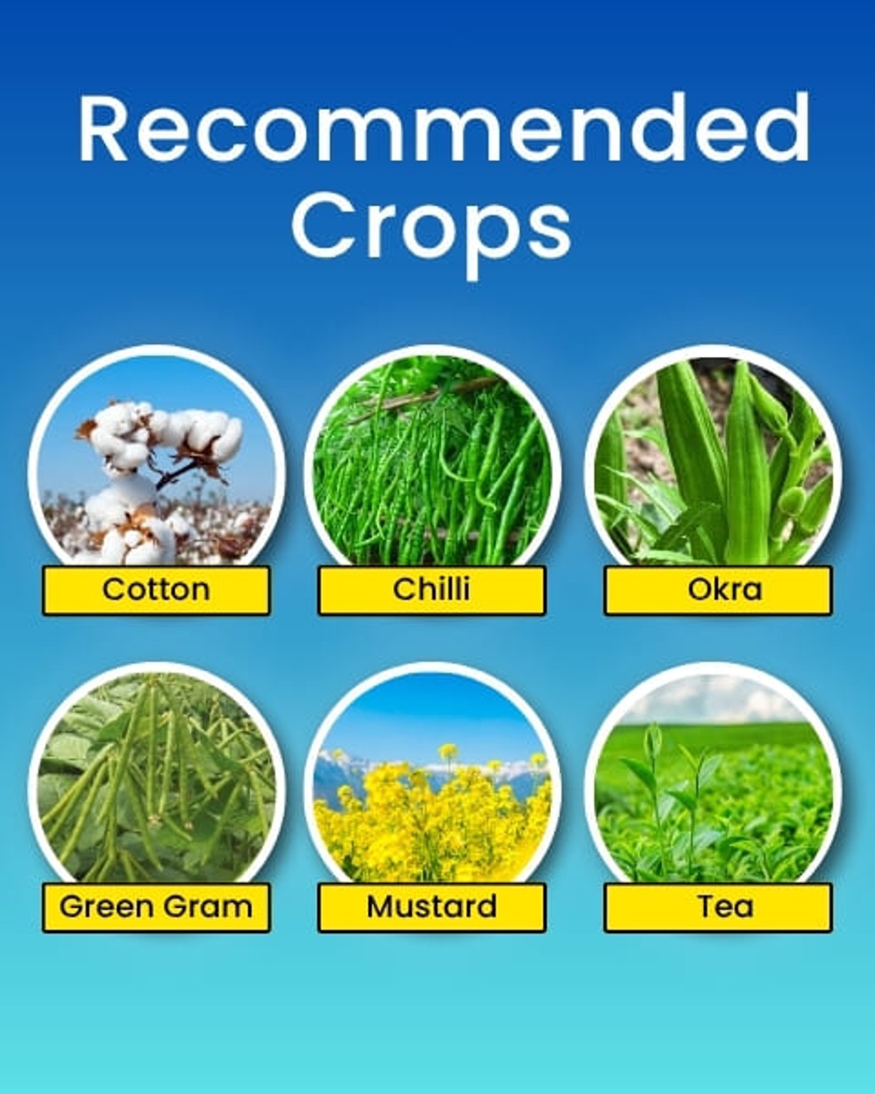 katyayani K- Acepro Acetamiprid 20% SP Chemical Insecticide