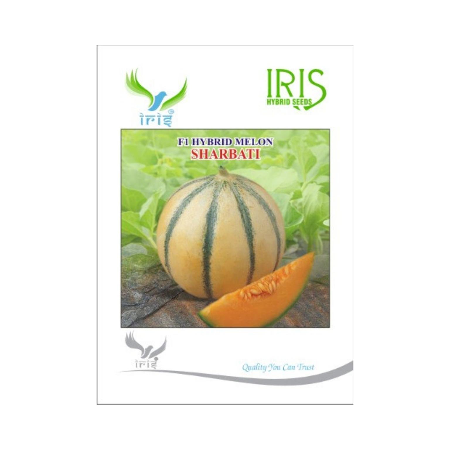 Iris Hybrid Musk Melon Sharbati Fruit Seeds