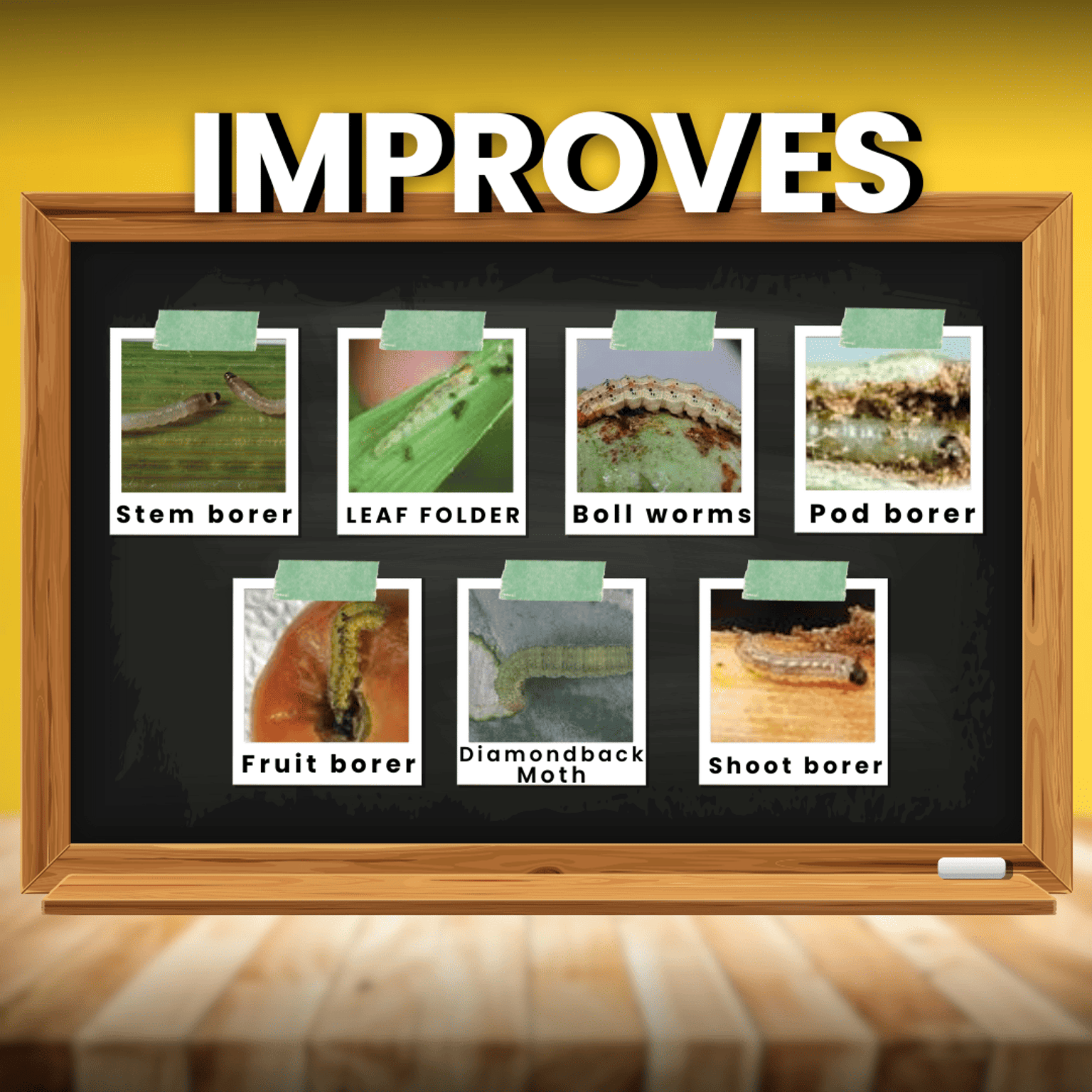 KATYAYANI FLUBEN | FLUBENDIAMIDE 39.35% SC | CHEMICAL INSECTICIDE