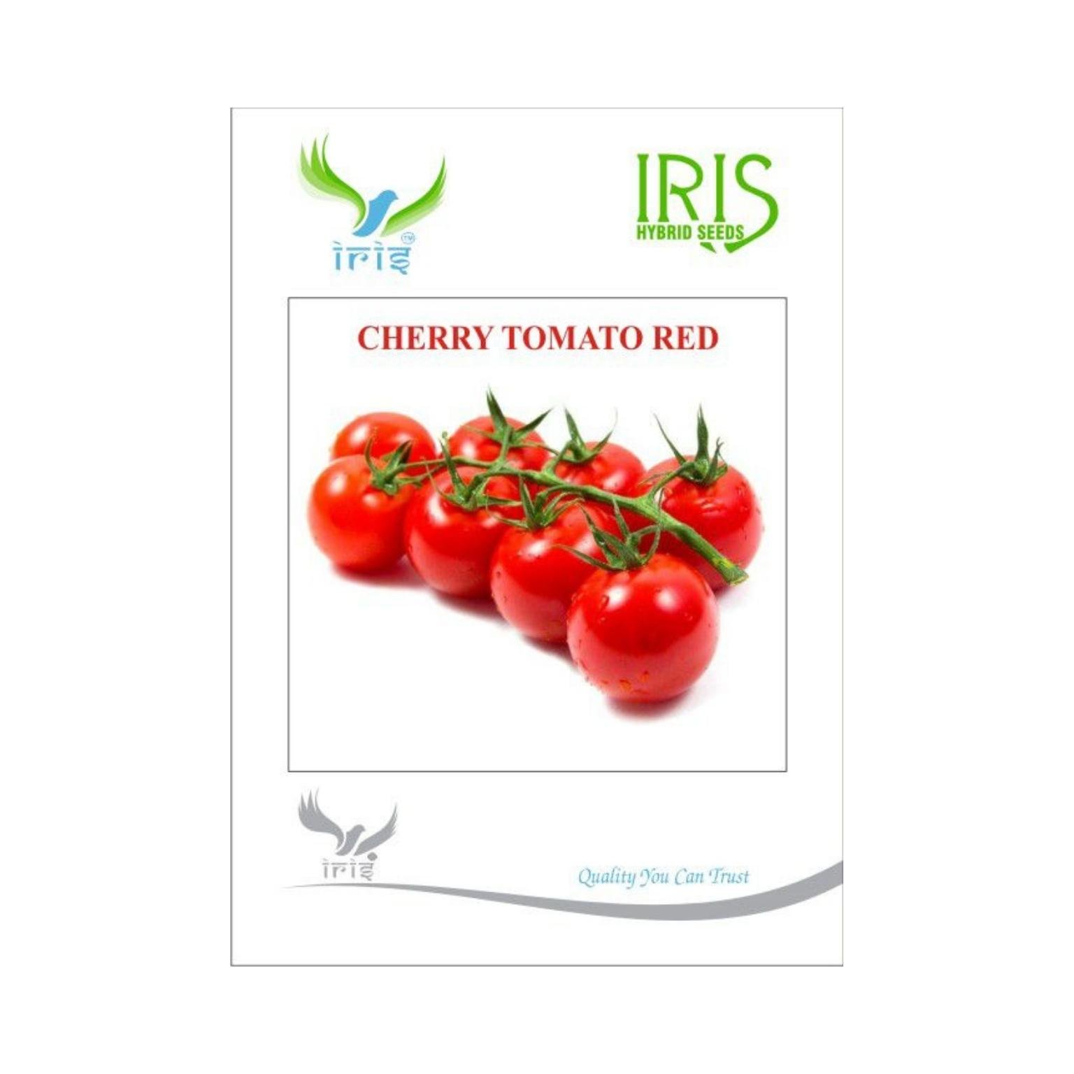 Iris Cherry Tomato Red Vegetable Seeds