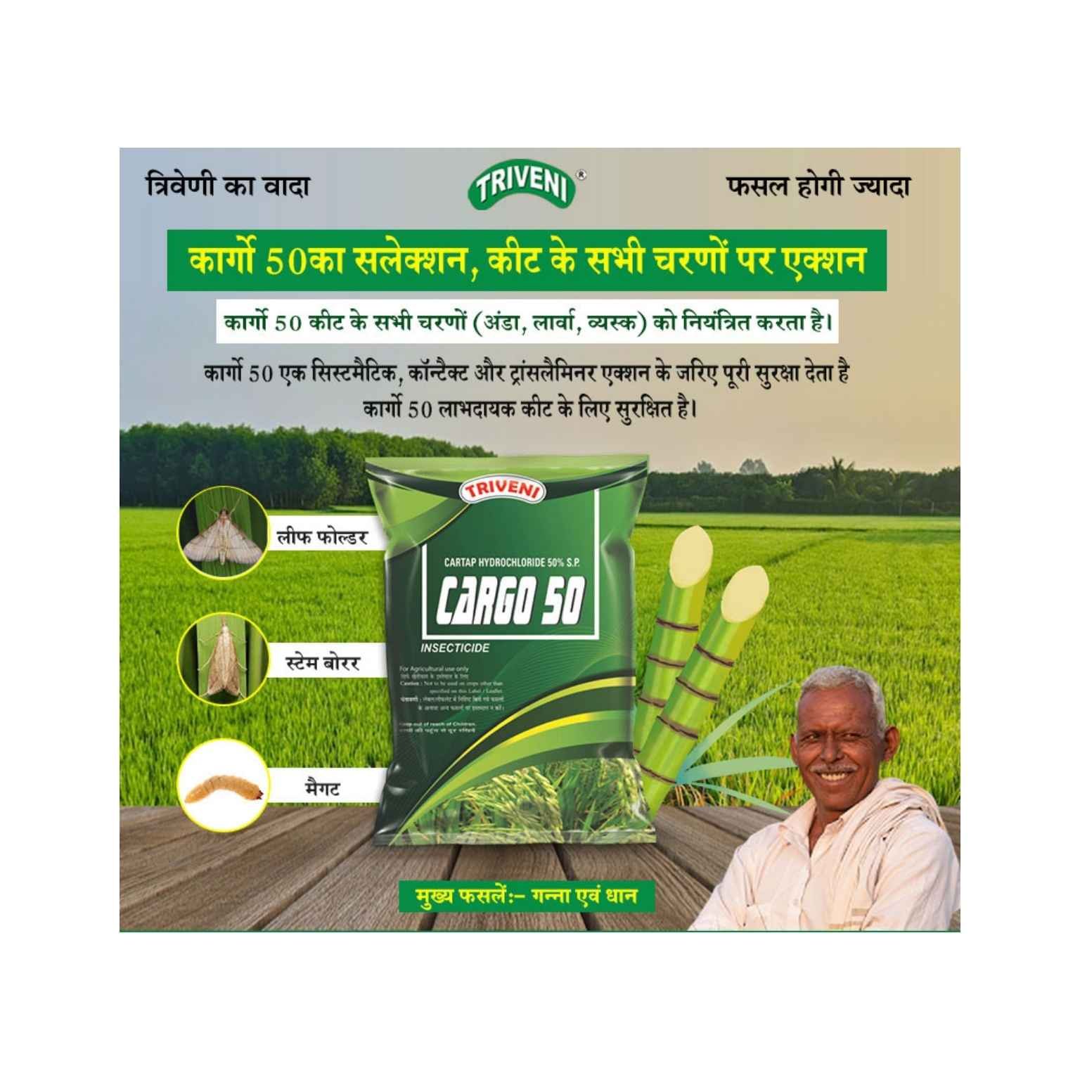 Triveni Cargo Cartap Hydrochloride 50% SP Insecticide