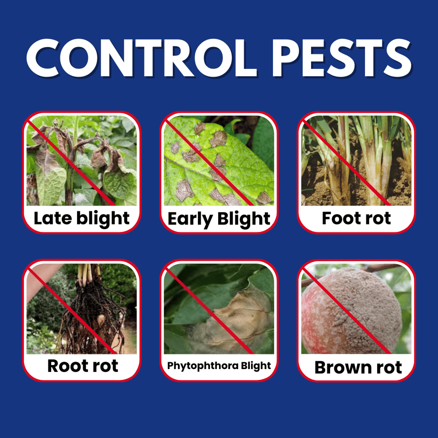 Katyayani Dr Blight Metalaxyl-M 3.3% + Chlorothalonil 33.1% SC Chemical Fungicide