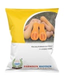 SQUESH FB-CALIFORNIAN BUTTERNUT F1.HY SEED