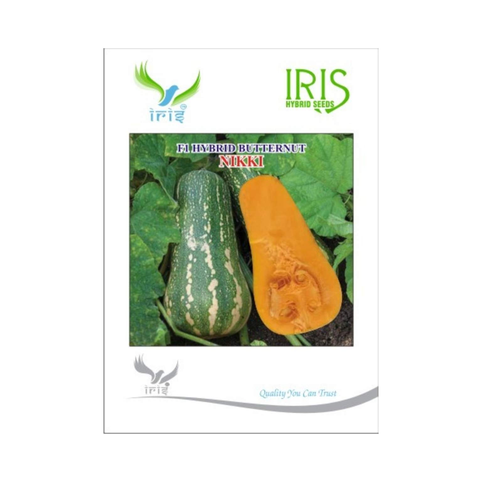 Iris Hybrid Butternut Nikki Vegetable Seeds