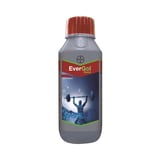 Bayer Evergol Xtend Penflufen 13.28% + Trifloxystrobin 13.28% FS