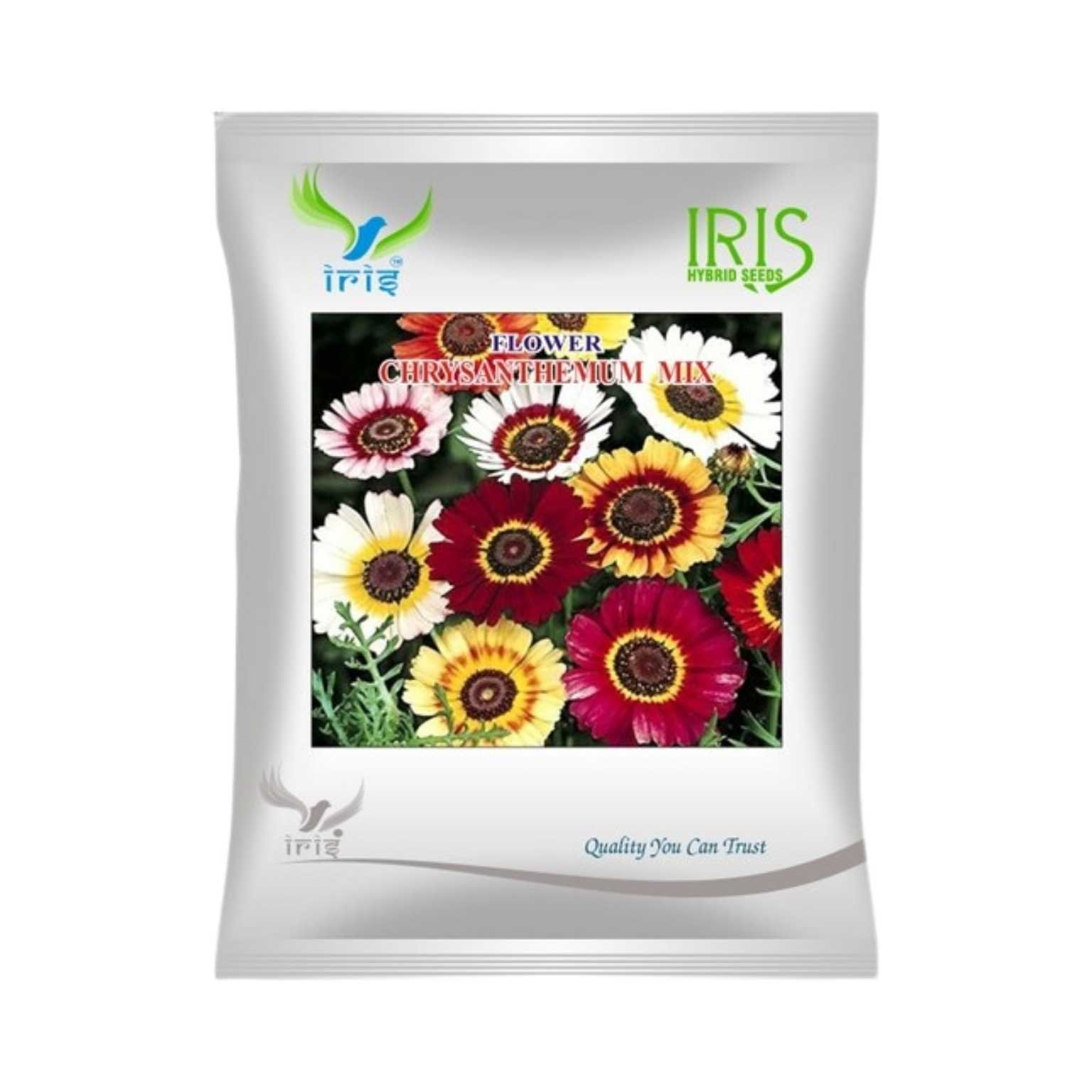 Iris Hybrid Chrysanthemum Carinatum Flower Seeds