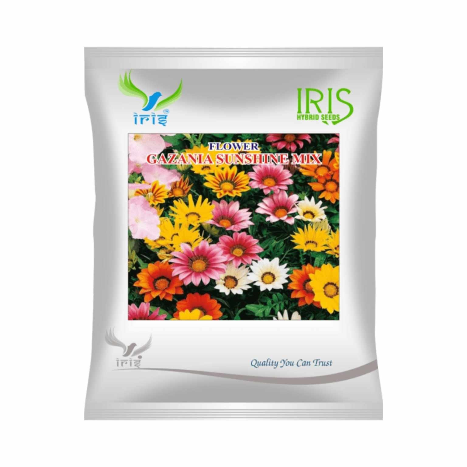 Iris Hybrid Gazania Sunshine Mix  Flower Seeds