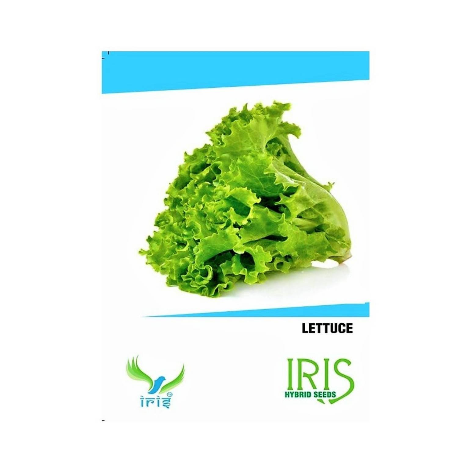 Iris Hybrid Lettuce Vegetable Seeds