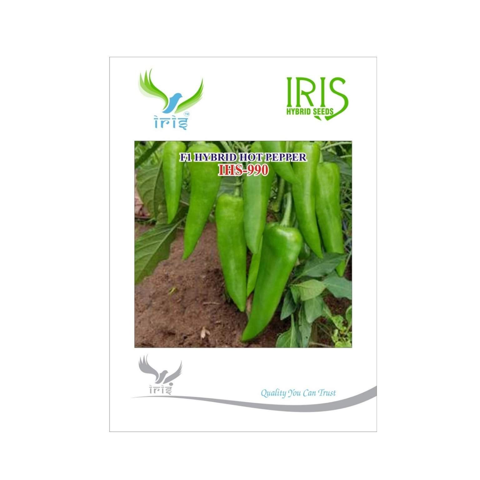 Iris Hybrid Hot Pepper (Chilli) IHS 990 Vegetable Seeds