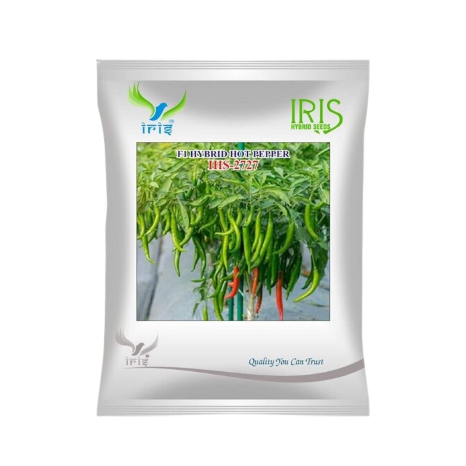Iris Hybrid Hot Pepper (Chilli) IHS 2727 Vegetable Seeds