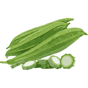 Ridge Gourd