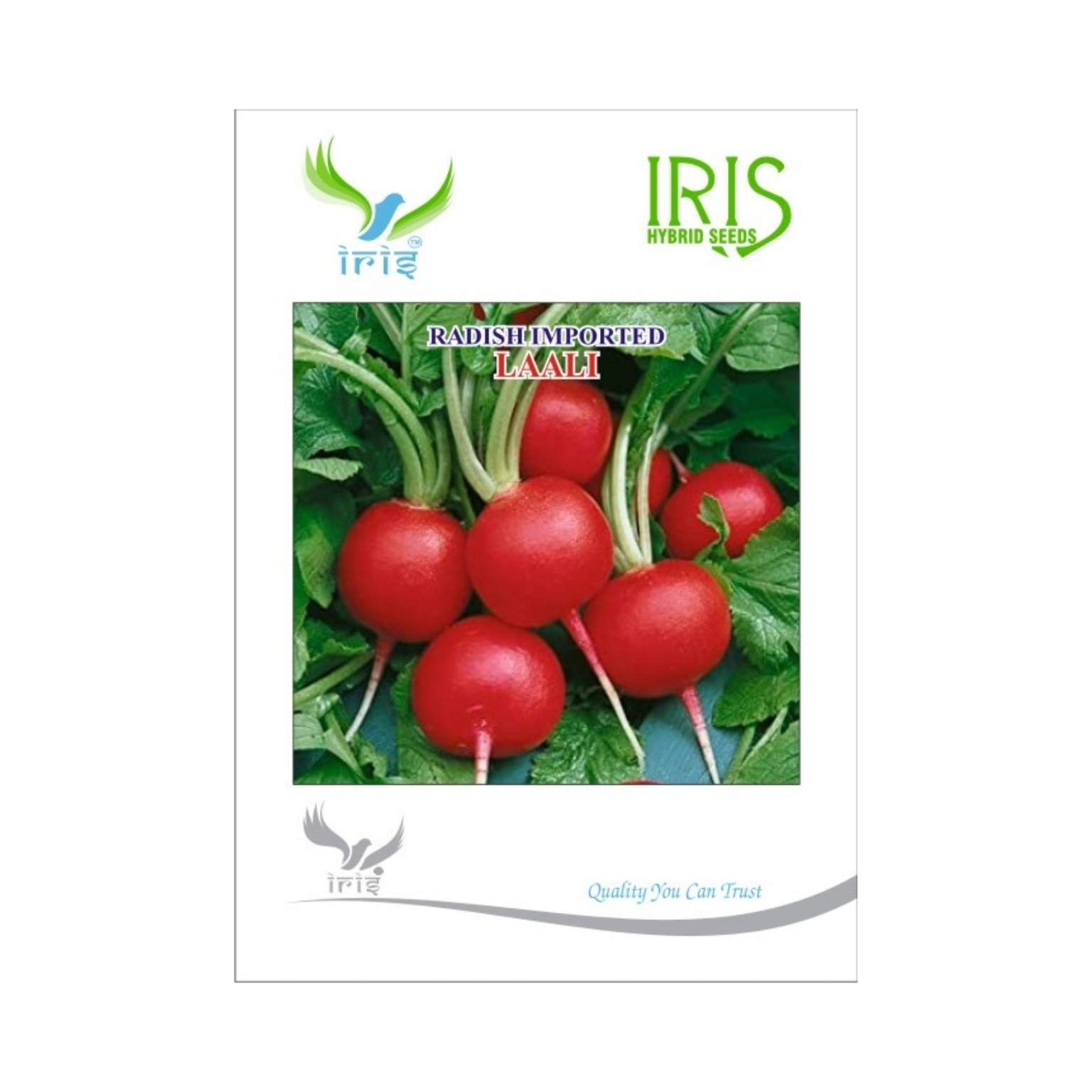 Iris Hybrid Radish (Red) Laali Vegetable Seeds